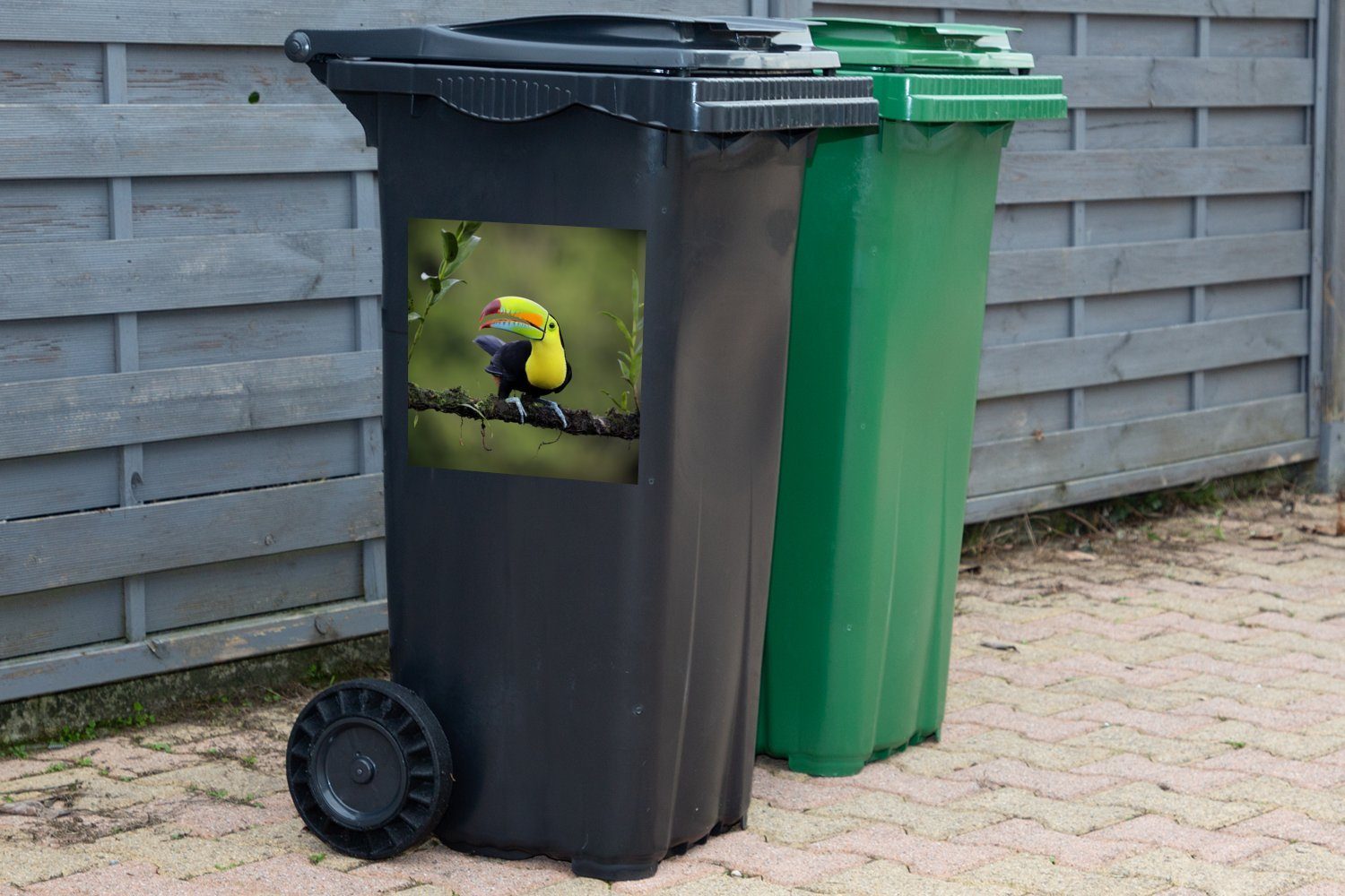 in einer Container, einem (1 MuchoWow St), Grünanlage Sticker, auf Mülltonne, Ein Wandsticker Mülleimer-aufkleber, Tukan schönen Abfalbehälter Ast