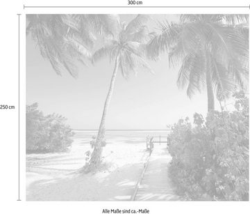 Komar Vliestapete Palmy Beach, (1 St), 300x250 cm (Breite x Höhe), Vliestapete, 100 cm Bahnbreite