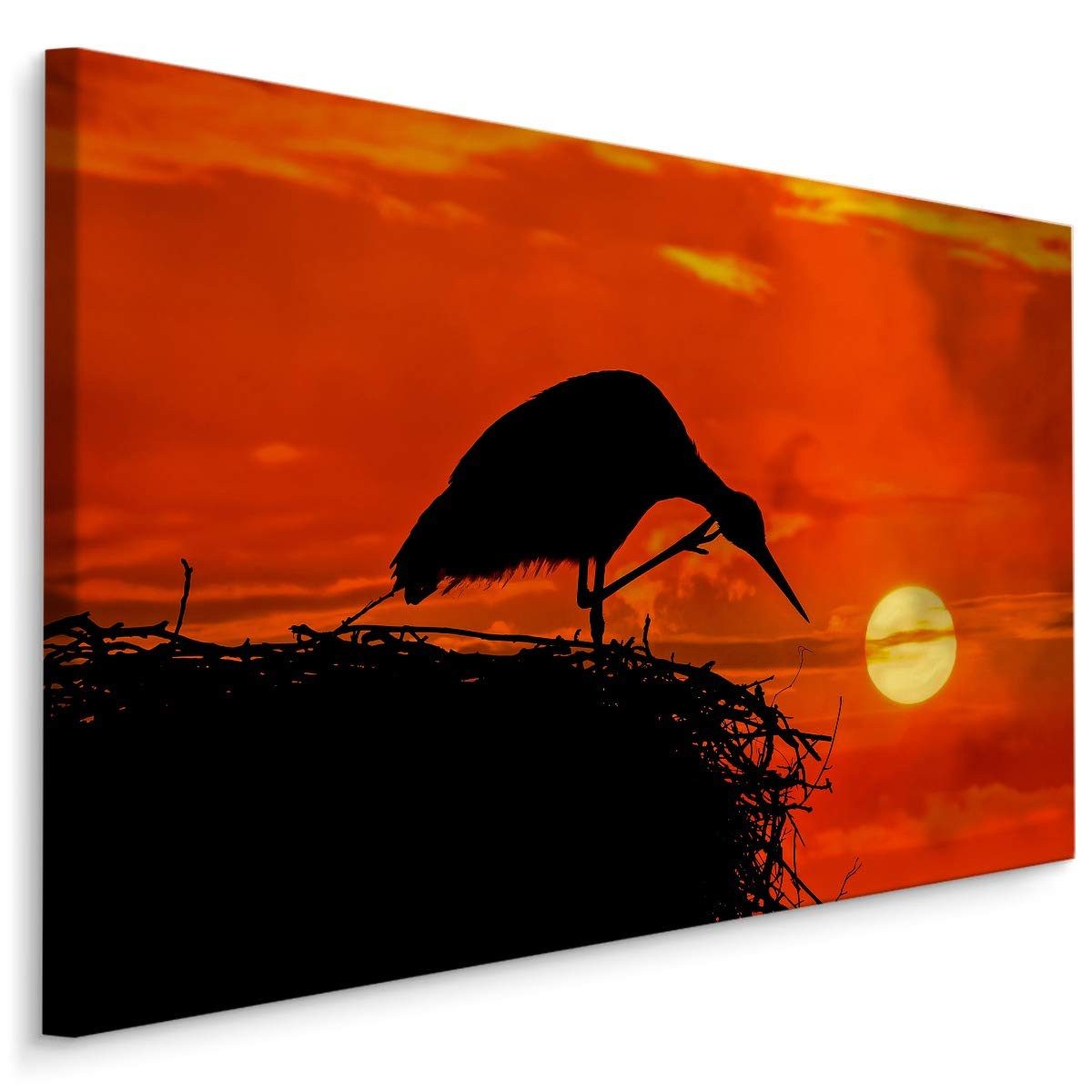 Muralo Leinwandbild Tiere – Leinwandbild Wandbild Kunstdruck Wohnzimmer, Natur (1 St), Tiere – Vogel – Storch, 70 x 50 cm, aufhängefertig