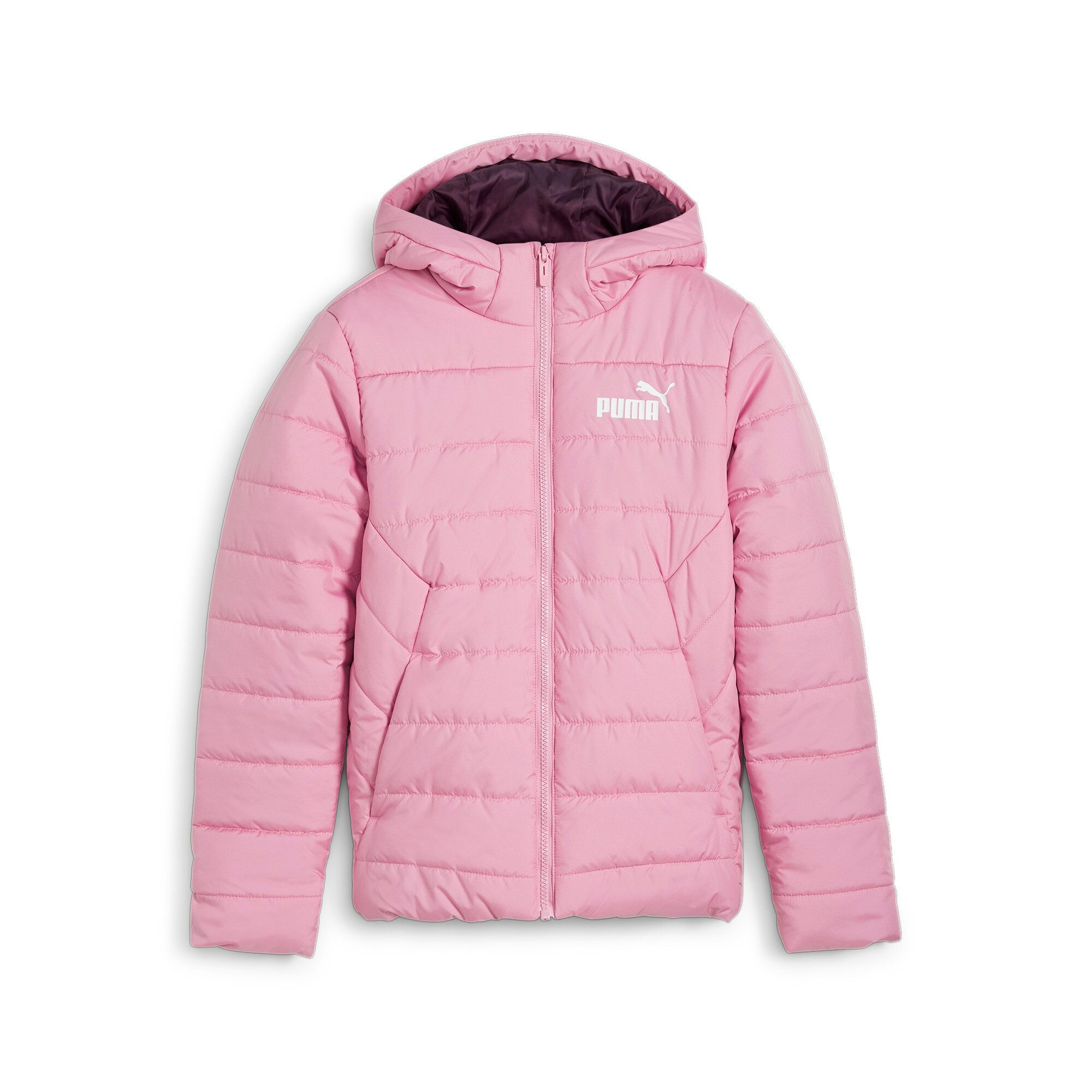 Winterjacke ESS HOODED PADDED JACKET