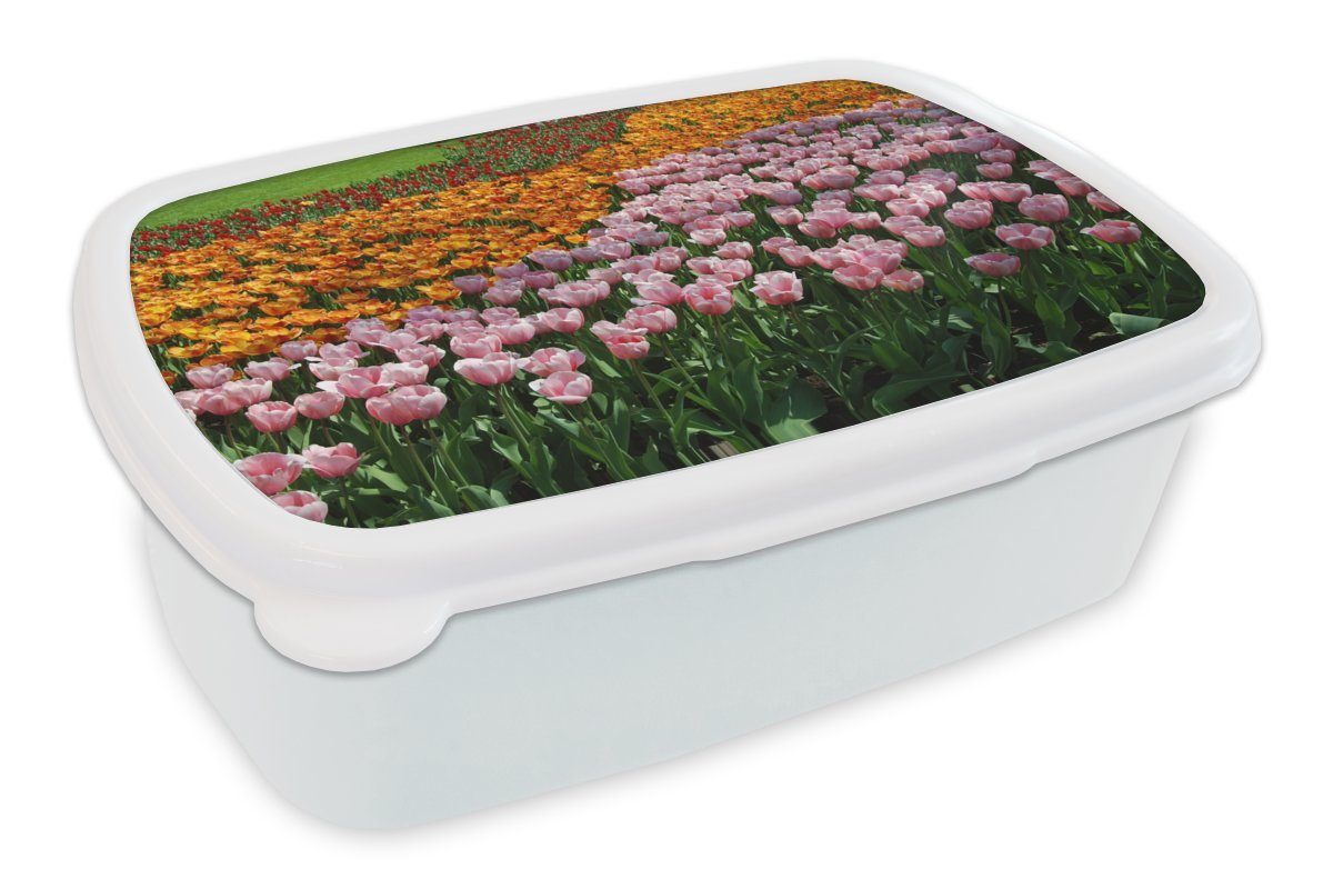 MuchoWow Lunchbox Bunte Tulpen auf dem Keukenhof, Kunststoff, (2-tlg), Brotbox für Kinder und Erwachsene, Brotdose, für Jungs und Mädchen weiß