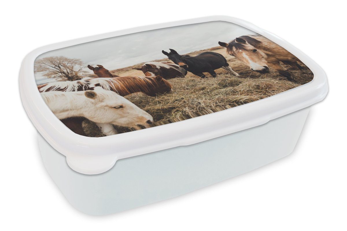MuchoWow Lunchbox Tiere - Pferd, Kunststoff, (2-tlg), Brotbox für Kinder und Erwachsene, Brotdose, für Jungs und Mädchen weiß