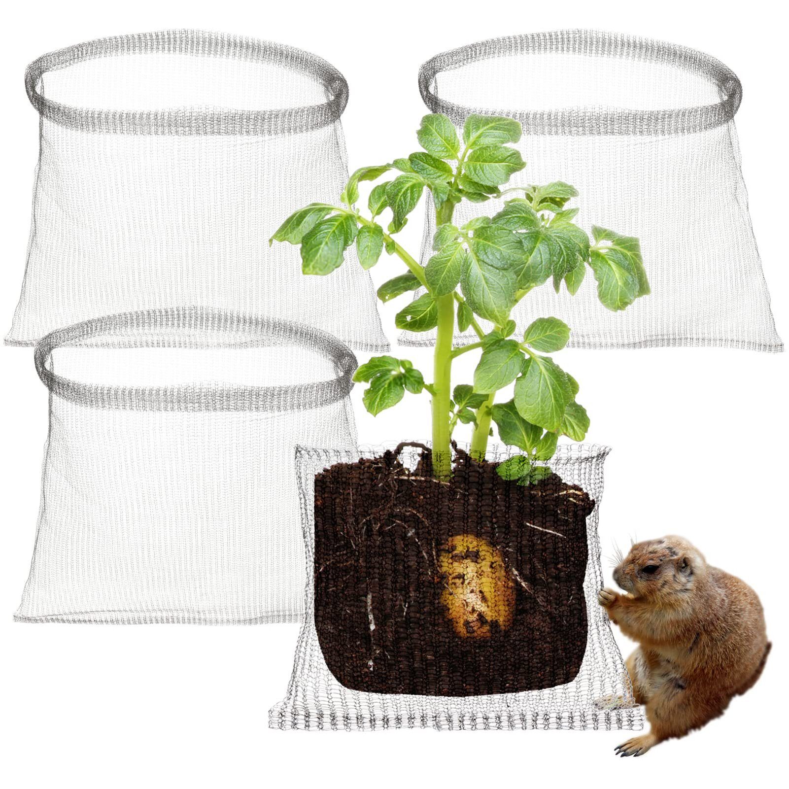 SEEZSSA Draht 4 Stück Wurzelschutz aus Edelstahl für Pflanzen, Körbe für Wühlmaus und Wühlmaus-Drahtkörbe für Beeren, Gemüse 61x61cm
