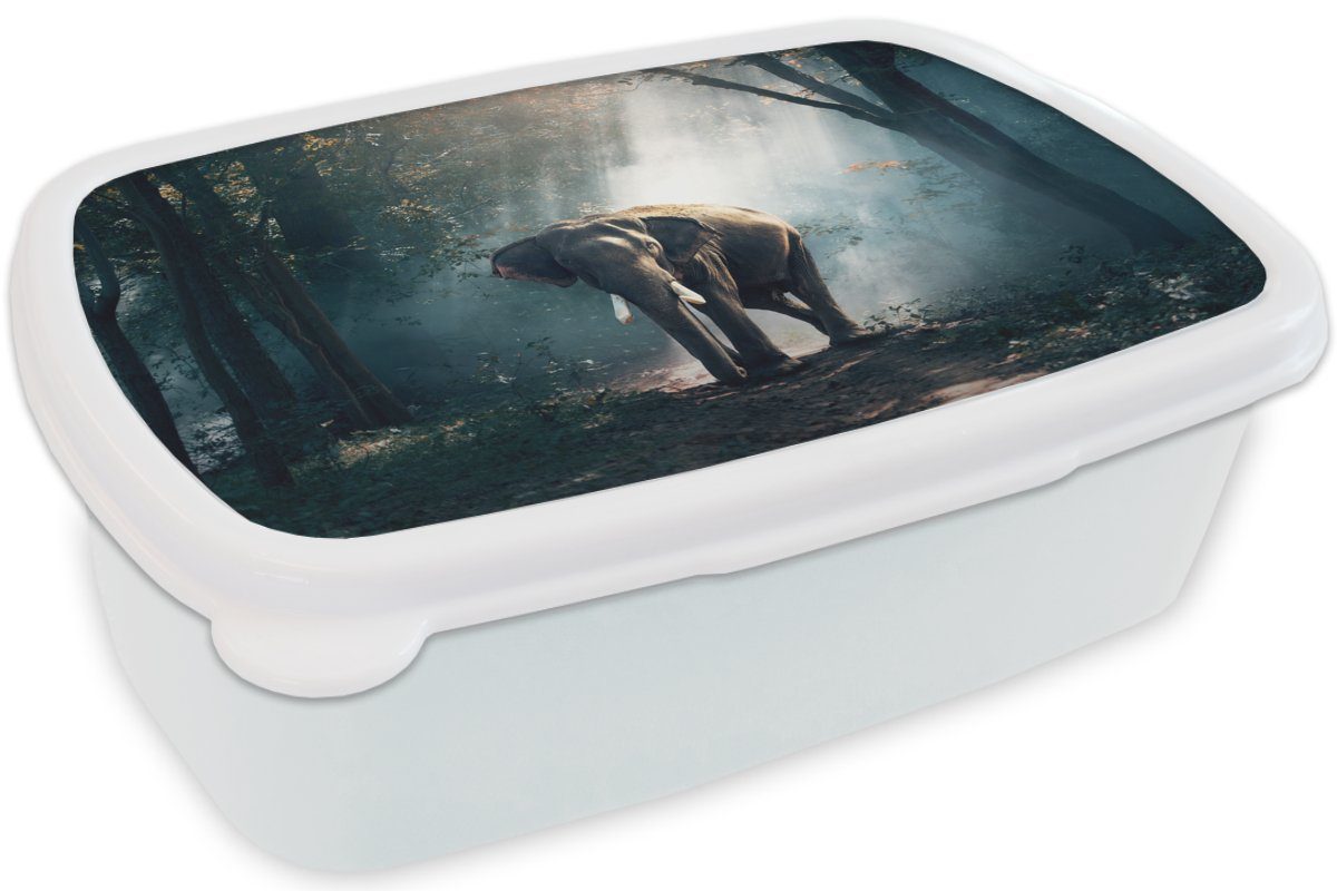 (2-tlg), und MuchoWow - Jungs - Kinder Elefant Kunststoff, für Wildtiere, - Brotdose, Lunchbox Brotbox Licht für und - - Erwachsene, weiß Tiere Mädchen Wald Natur