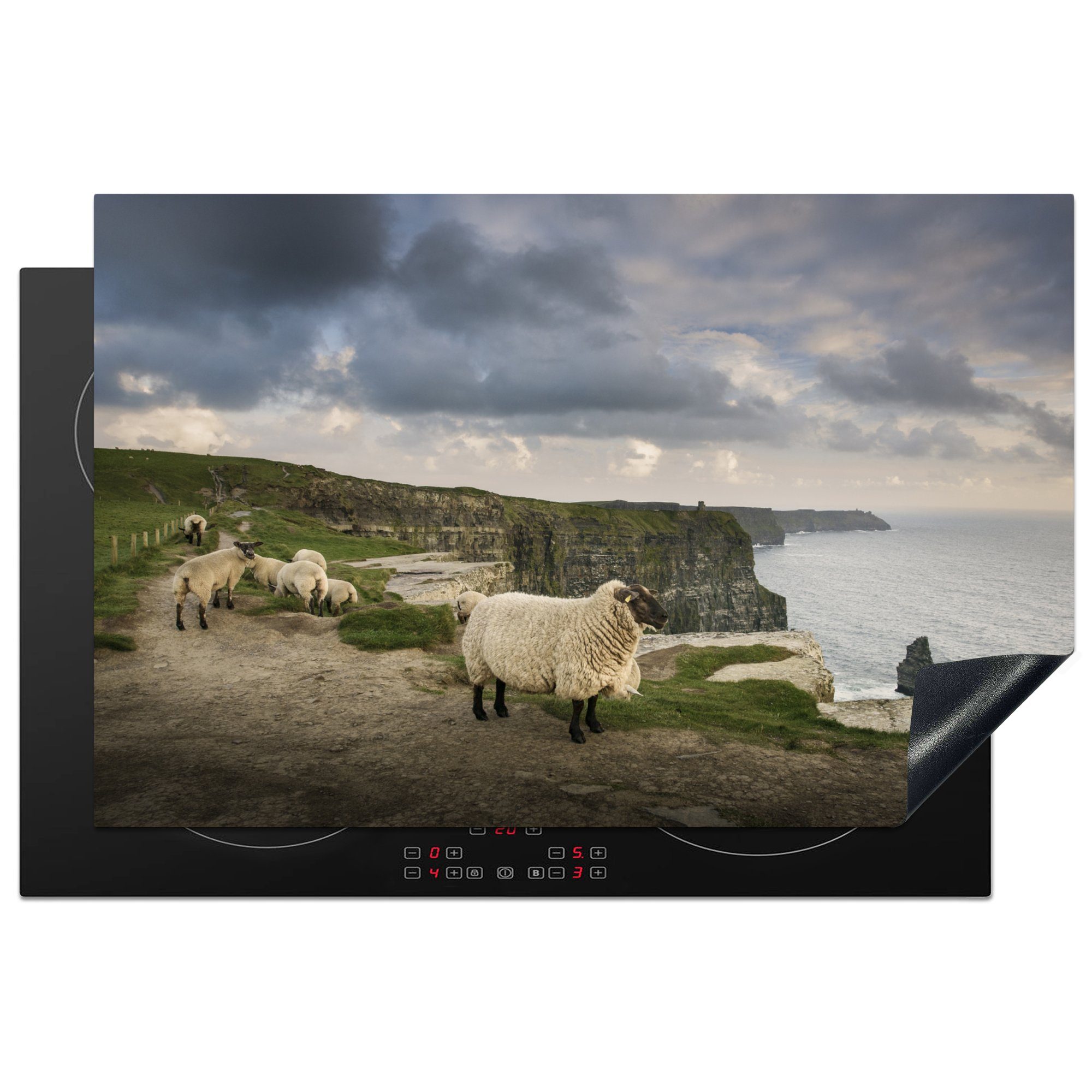 Induktionskochfeld (1 tlg), küche, Herdblende-/Abdeckplatte Vinyl, für MuchoWow in 81x52 cm, Schafe Schutz Irland, die Ceranfeldabdeckung