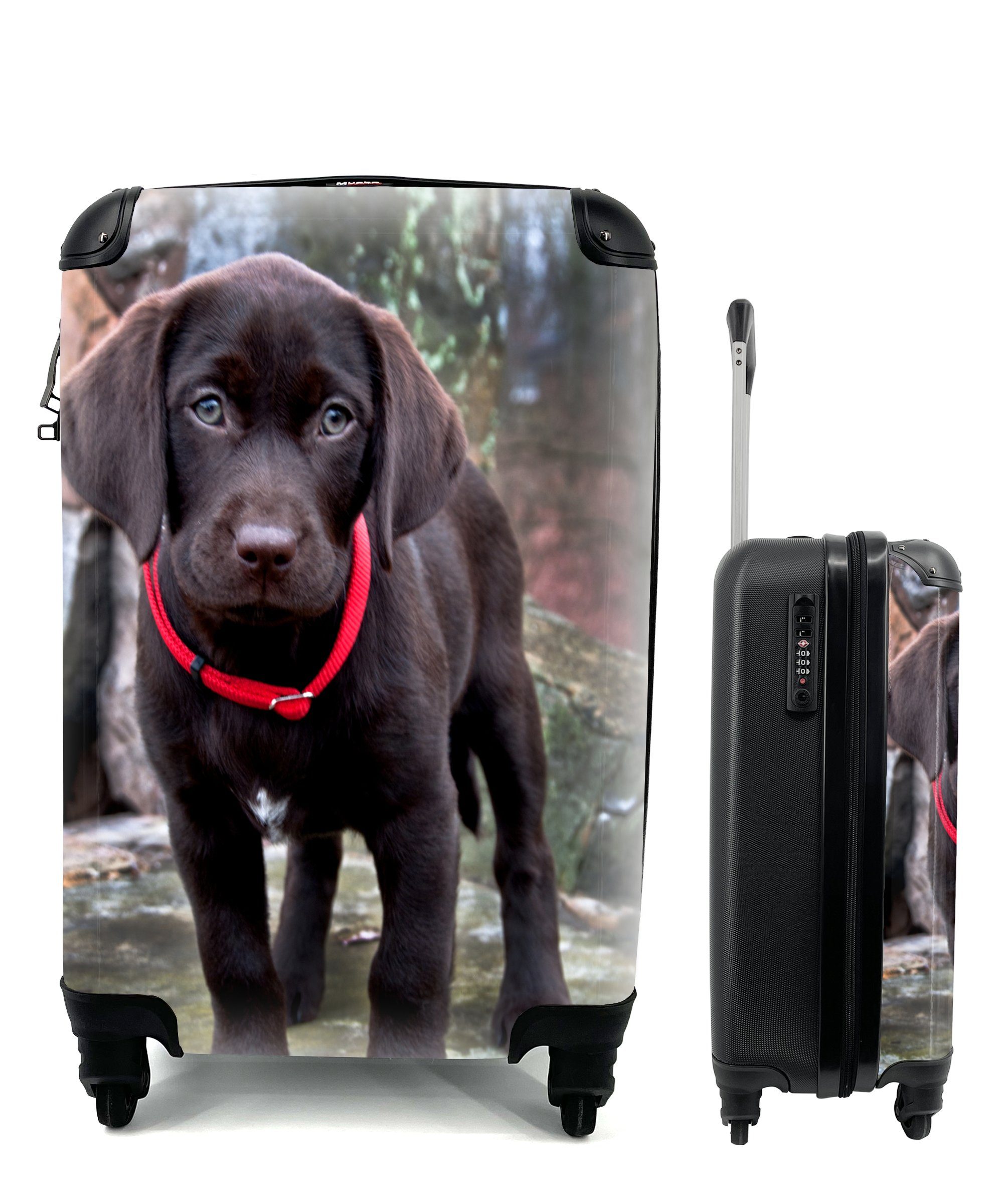 Handgepäckkoffer eines Reisetasche Porträt 4 mit Ein braunen Welpen, Trolley, Handgepäck MuchoWow Rollen, Ferien, Reisekoffer rollen, für