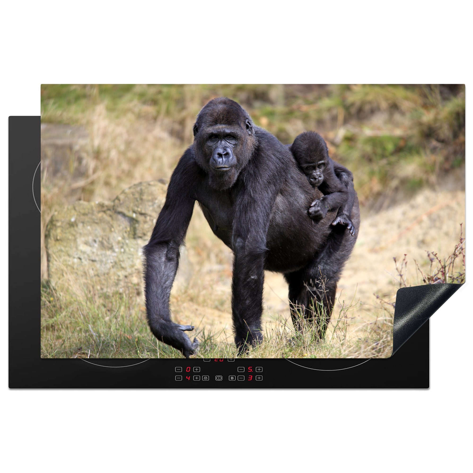 Herdblende-/Abdeckplatte die einem küche, Induktionskochfeld auf MuchoWow für Gorillas tlg), seinem Bild Vinyl, 81x52 cm, Ceranfeldabdeckung Rücken, Jungtier eines Schutz mit (1
