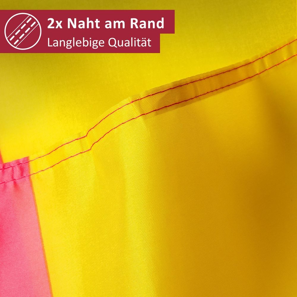 PHENO FLAGS Flagge Pansexual Pride Flagge LGBT PAN 90 x 150 cm Pansexuelle Fahne (Hissflagge für Fahnenmast), Inkl. 2 Messing Ösen