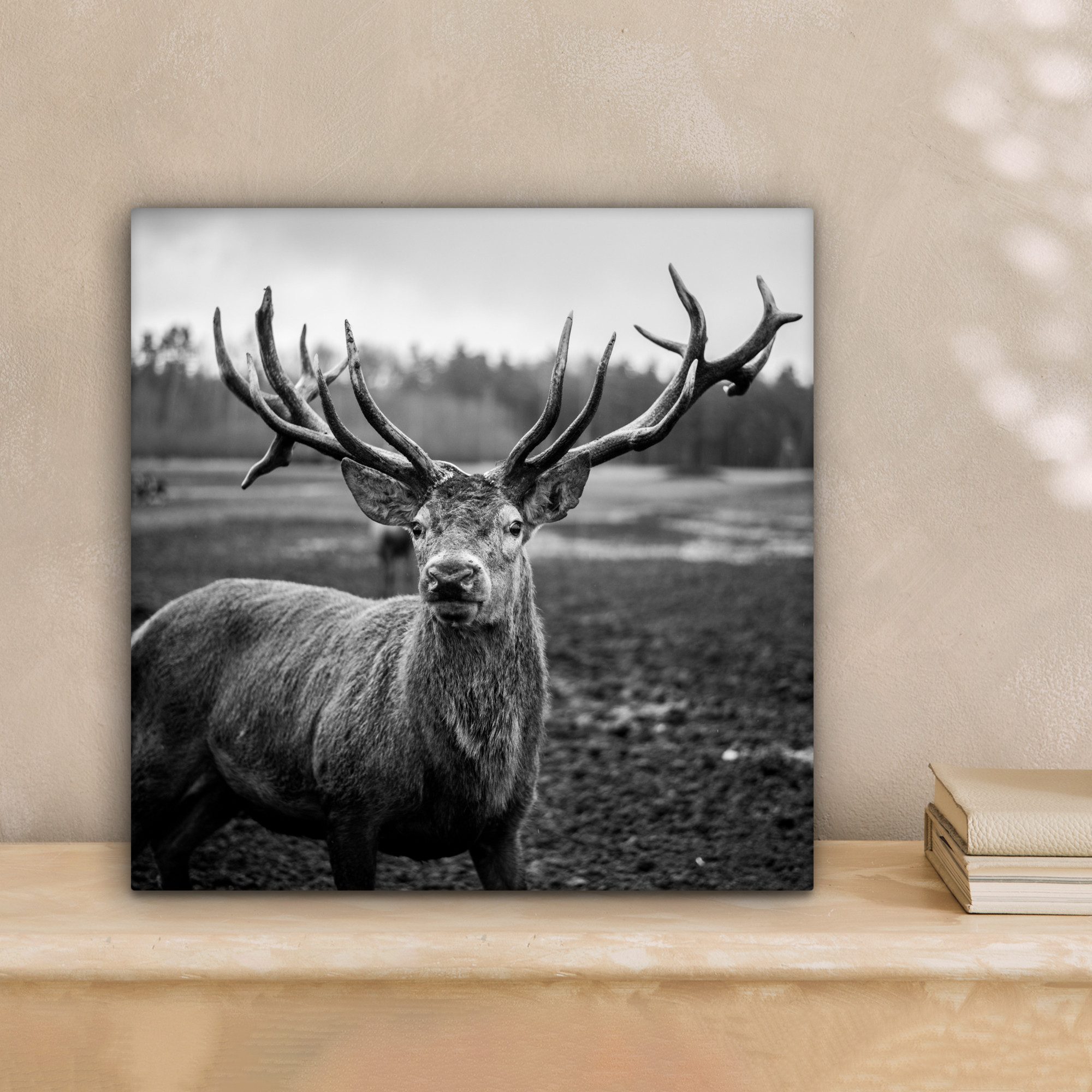 OneMillionCanvasses® Leinwandbild Tiere - Hirsch - Geweih - Schwarz und wei günstig online kaufen