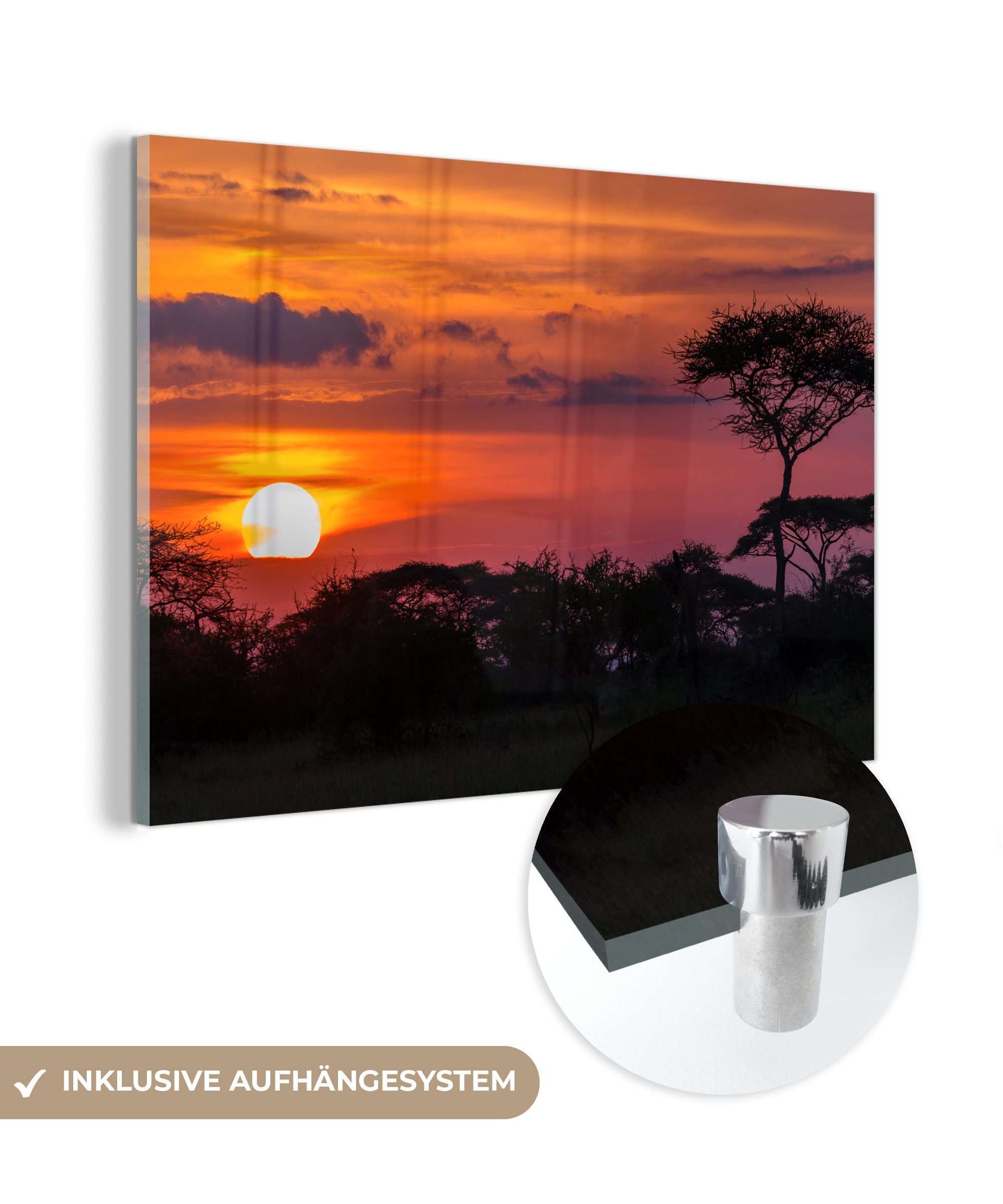 MuchoWow Acrylglasbild Blick auf den Sonnenuntergang im Serengeti-Nationalpark in Tansania, (1 St), Acrylglasbilder Wohnzimmer & Schlafzimmer