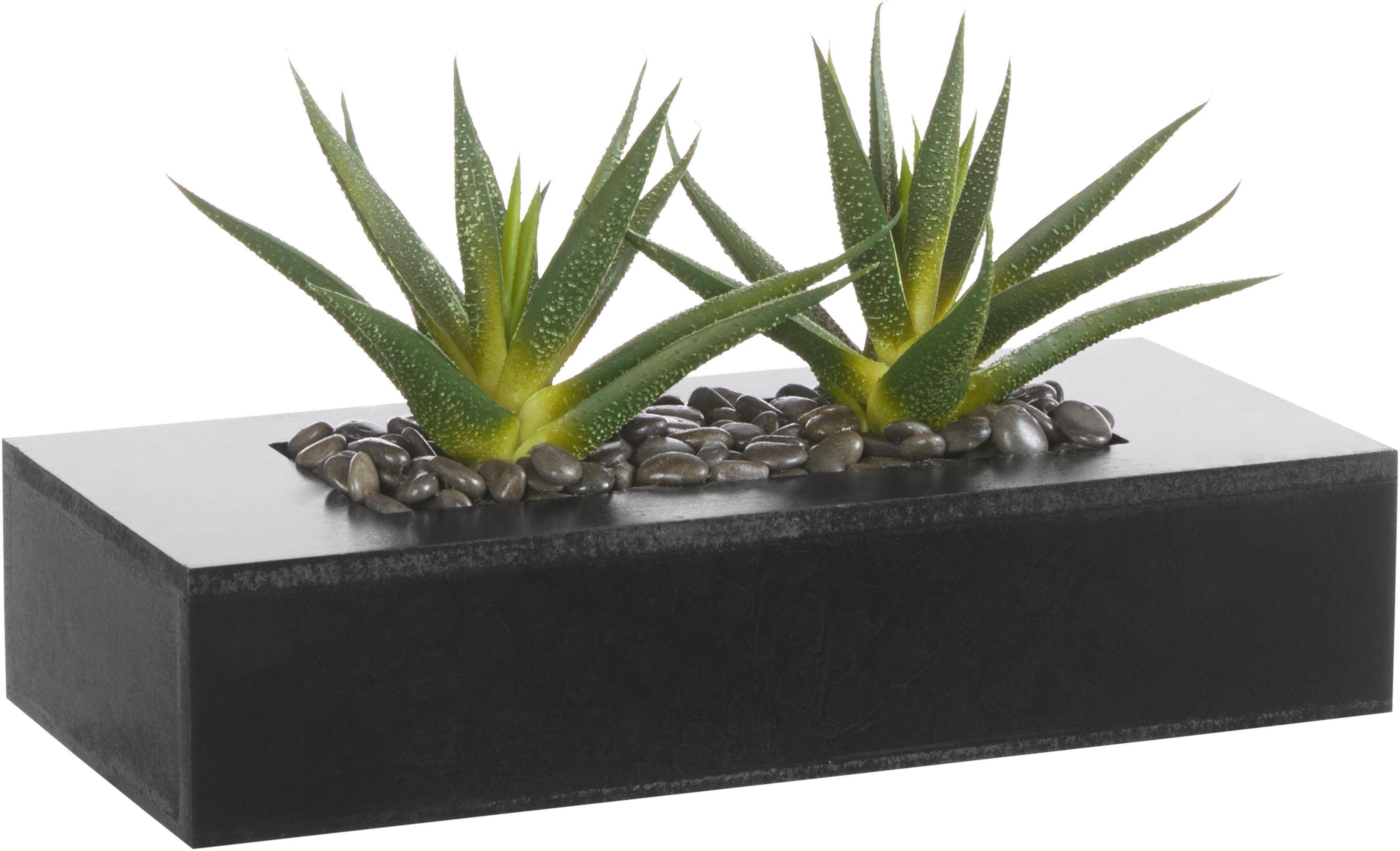 Kunstkaktus Agaven, OTTO home, Höhe 16 cm, Kunstpflanzen-Arrangement in zwei Größen in schöner Holzschale – Bild 2 von 5