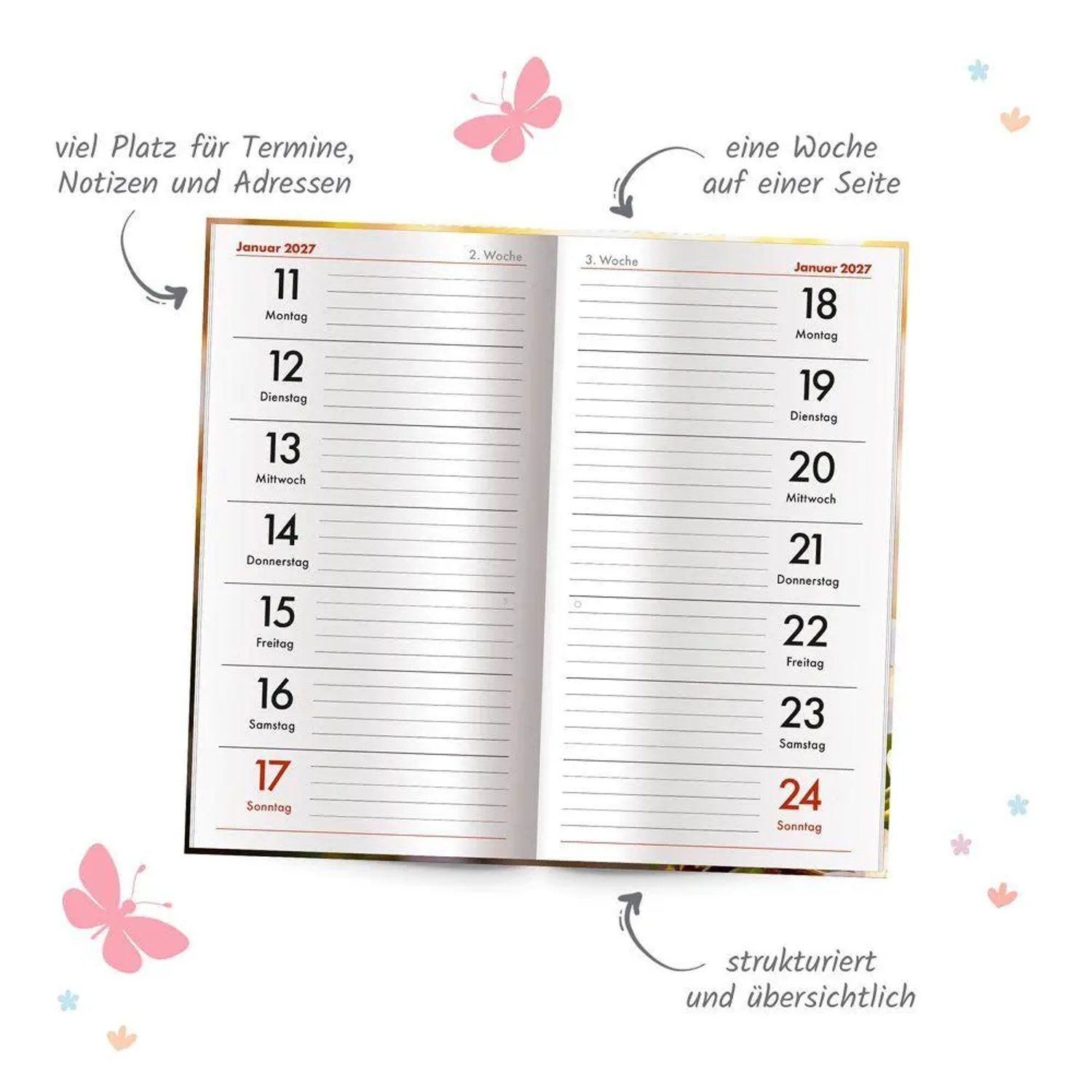 Trötsch Verlag Taschenkalender TRÖTSCH - Taschenterminer Schmetterling 2027