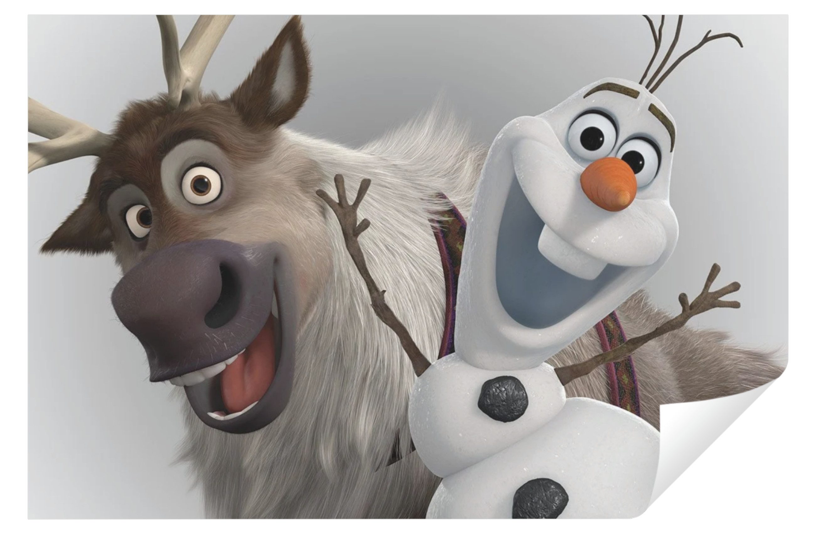 Wallarena Leinwandbild Kinderzimmer Mädchen Frozen Wandbild günstig online kaufen