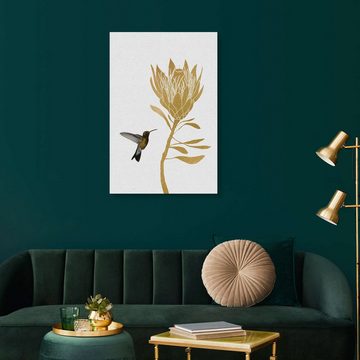 Posterlounge Acrylglasbild Orara Studio, Kolibri & Blume I, Minimalistisch Illustration
