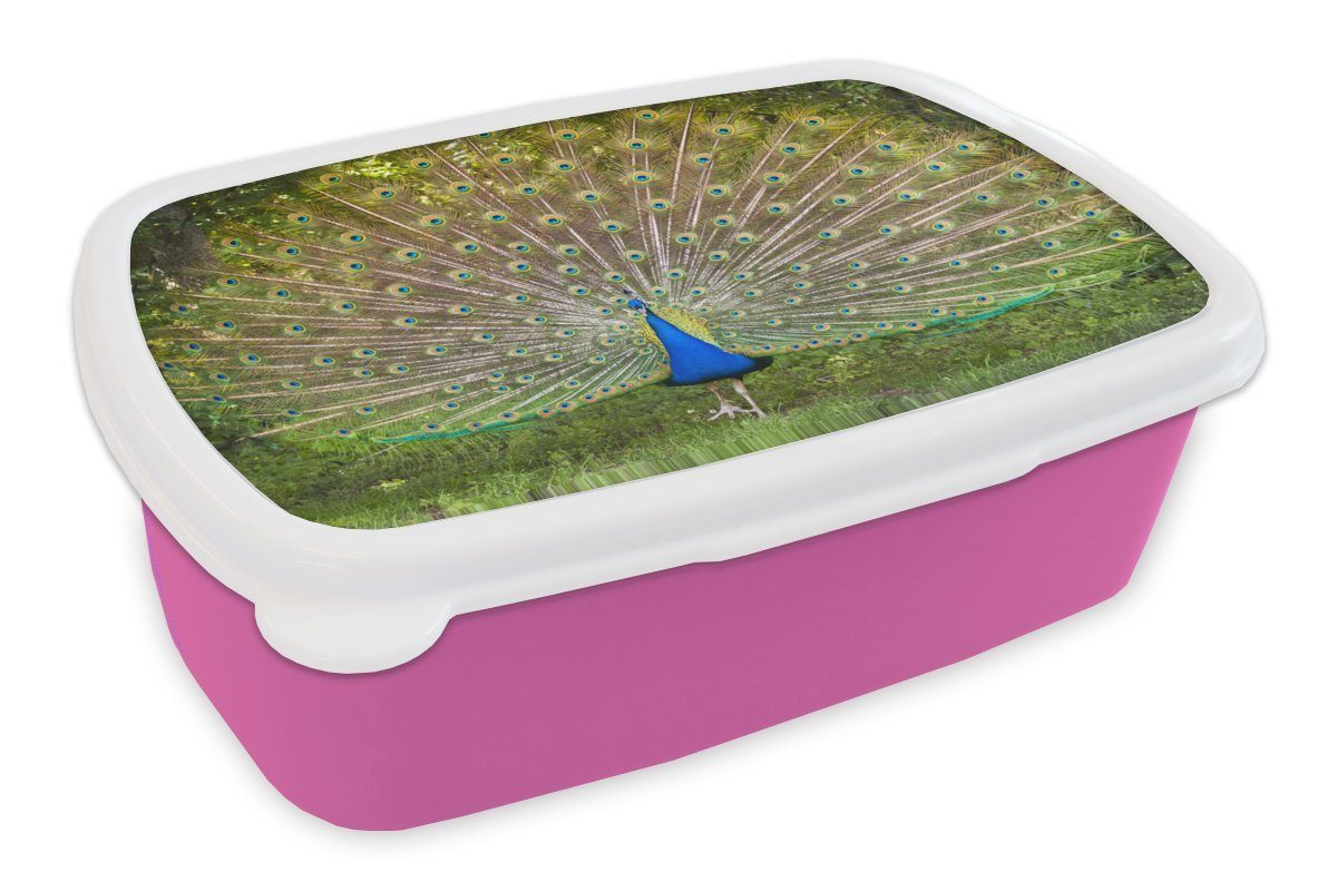 Brotdose Snackbox, für Kunststoff, Kunststoff Lunchbox Pflanzen, - Erwachsene, - (2-tlg), Kinder, Brotbox rosa Federn Mädchen, MuchoWow Pfau