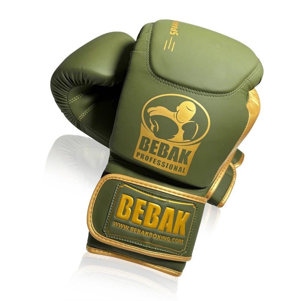 BEBAK Boxhandschuhe VERDE, tägliches Training