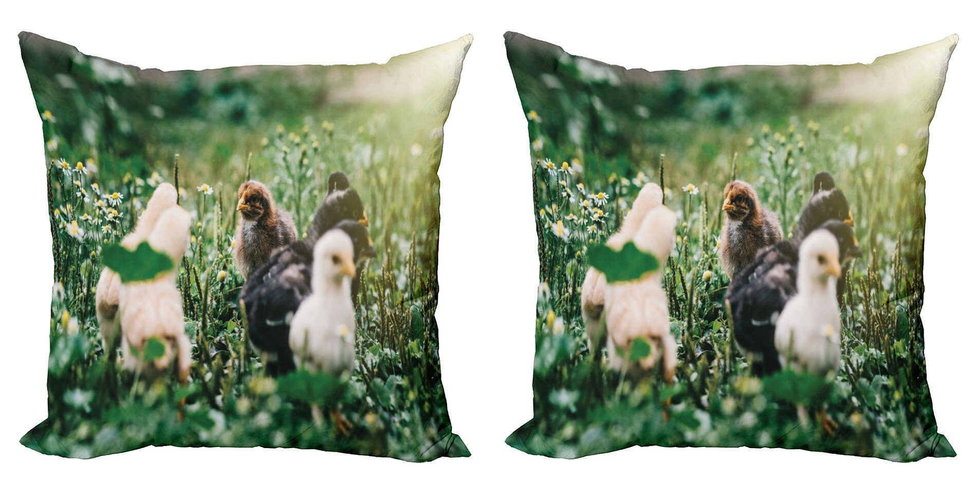 Kissenbezüge Modern Accent Doppelseitiger Digitaldruck, Abakuhaus (2 Stück), Chicks Kleine Hühner in den Gänseblümchen