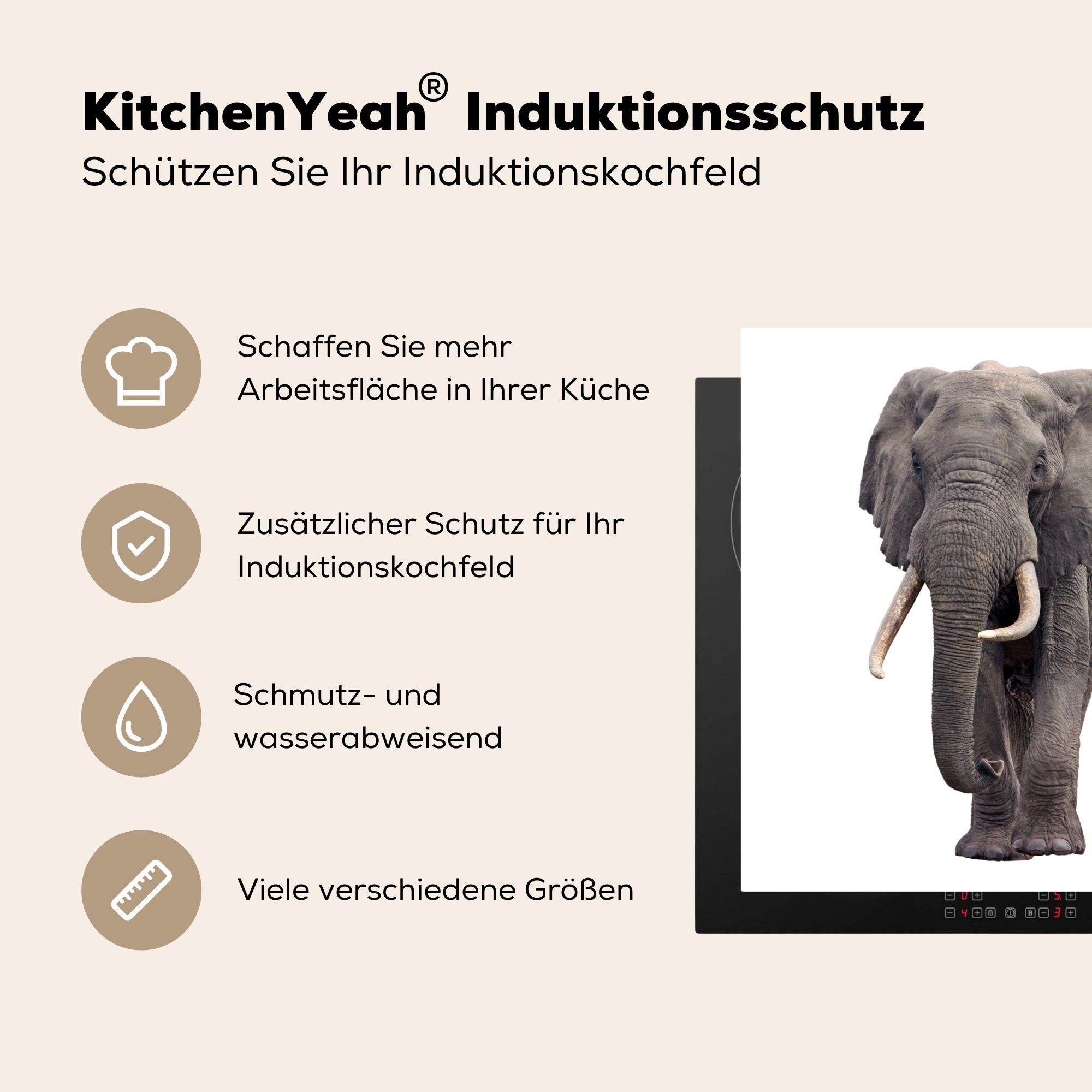 (1 - cm, küche Ceranfeldabdeckung, Vinyl, Herdblende-/Abdeckplatte Arbeitsplatte - MuchoWow Afrika Weiß, 78x78 tlg), für Elefant