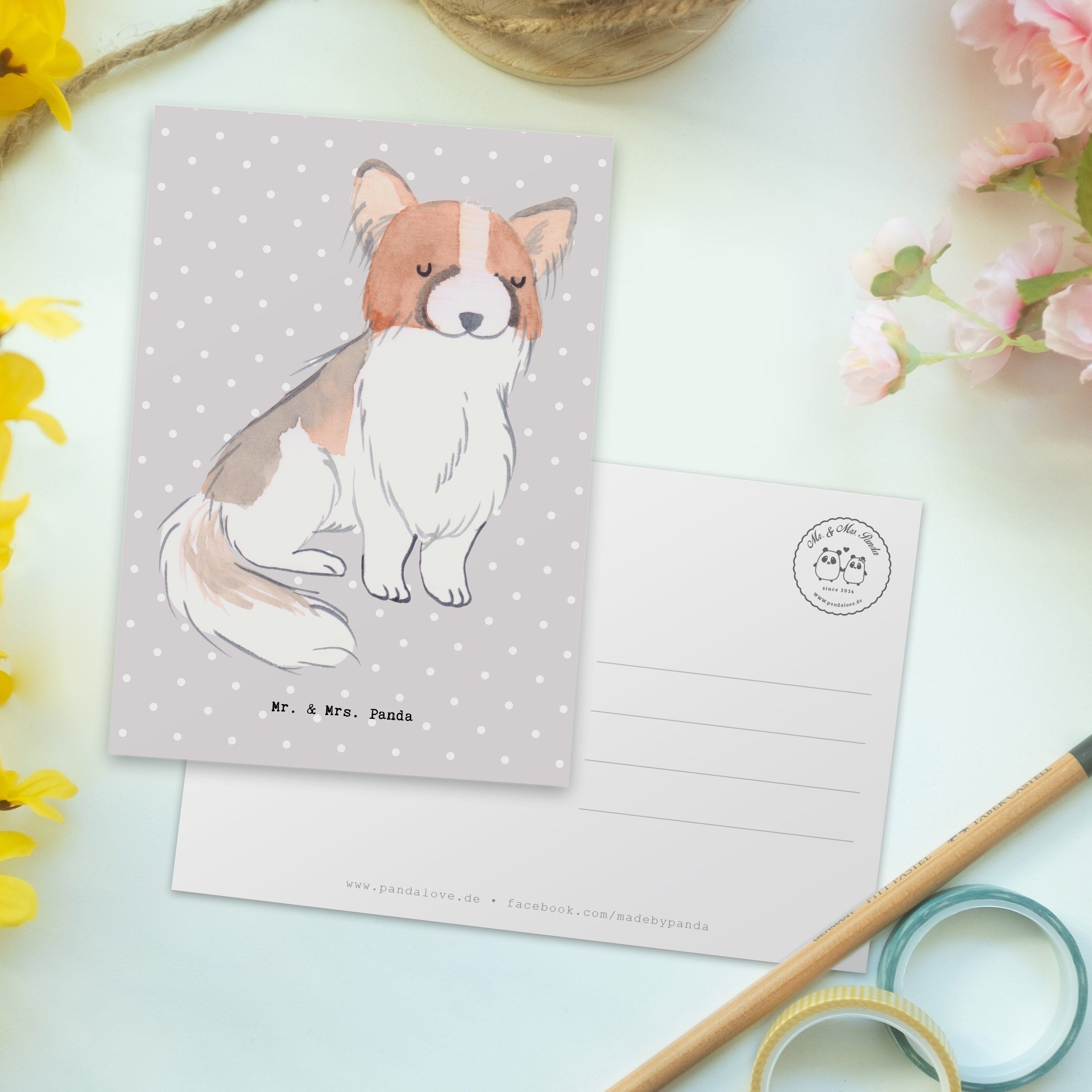 Mr. & Grau Einladung, Panda Pastell Lebensretter - - Postkarte Mrs. Geschenk, Papillon Tierfreun