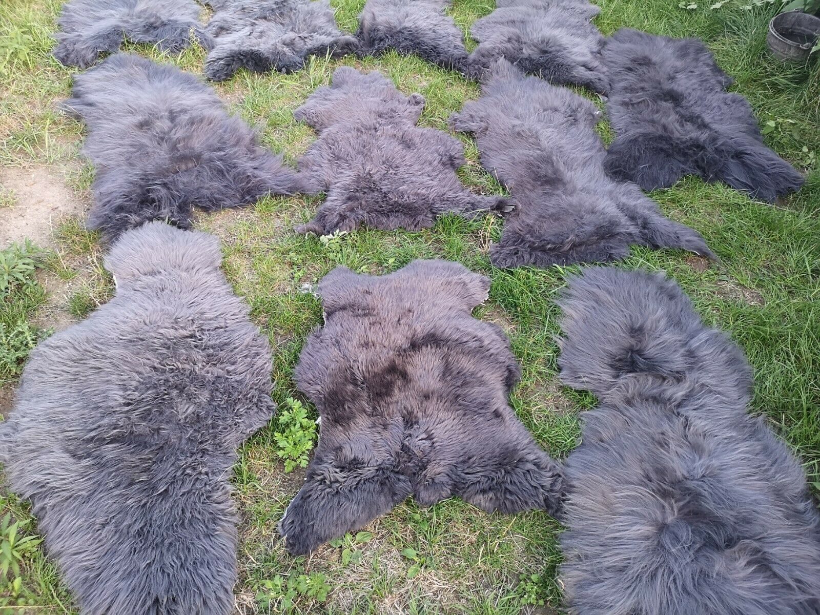 Provellus Fellteppich Öko Schaffell Lammfell Grau 2. Wahl Bis 140 cm Unikat günstig online kaufen