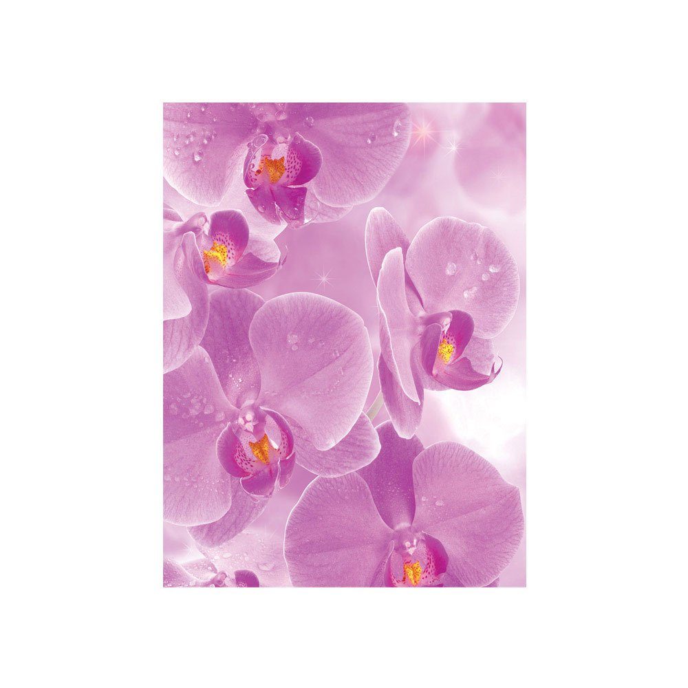 liwwing Tropfen liwwing Rosa 407, Fototapete Orchidee no. Orchideen lila Wellness Fototapete