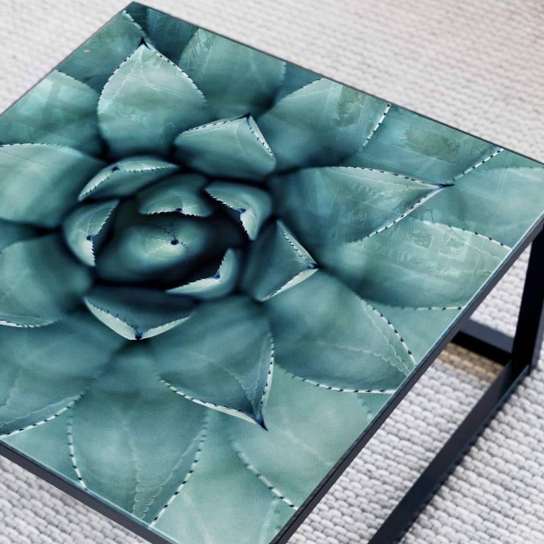 K&L Kaktus Art Floral Pflanze Glas Wall Glastisch Sukkulente Beistelltisch Arbeitsplatte Tischplatte