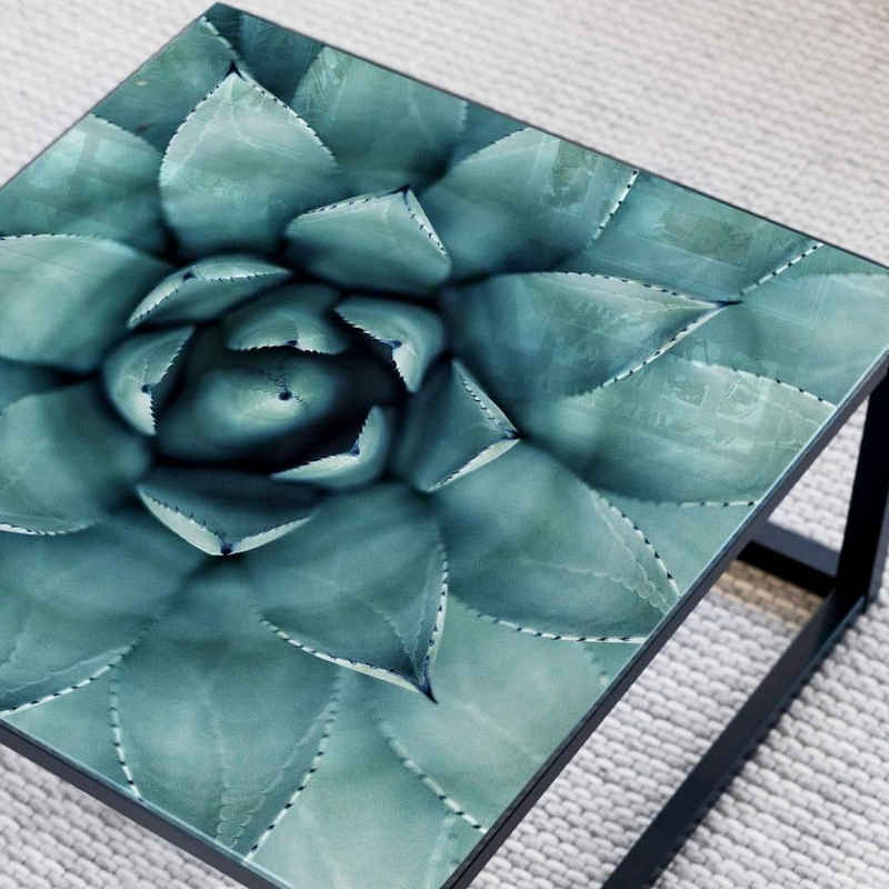 K&L Wall Art Arbeitsplatte Glas Tischplatte Sukkulente Beistelltisch Kaktus Pflanze Floral Glastisch