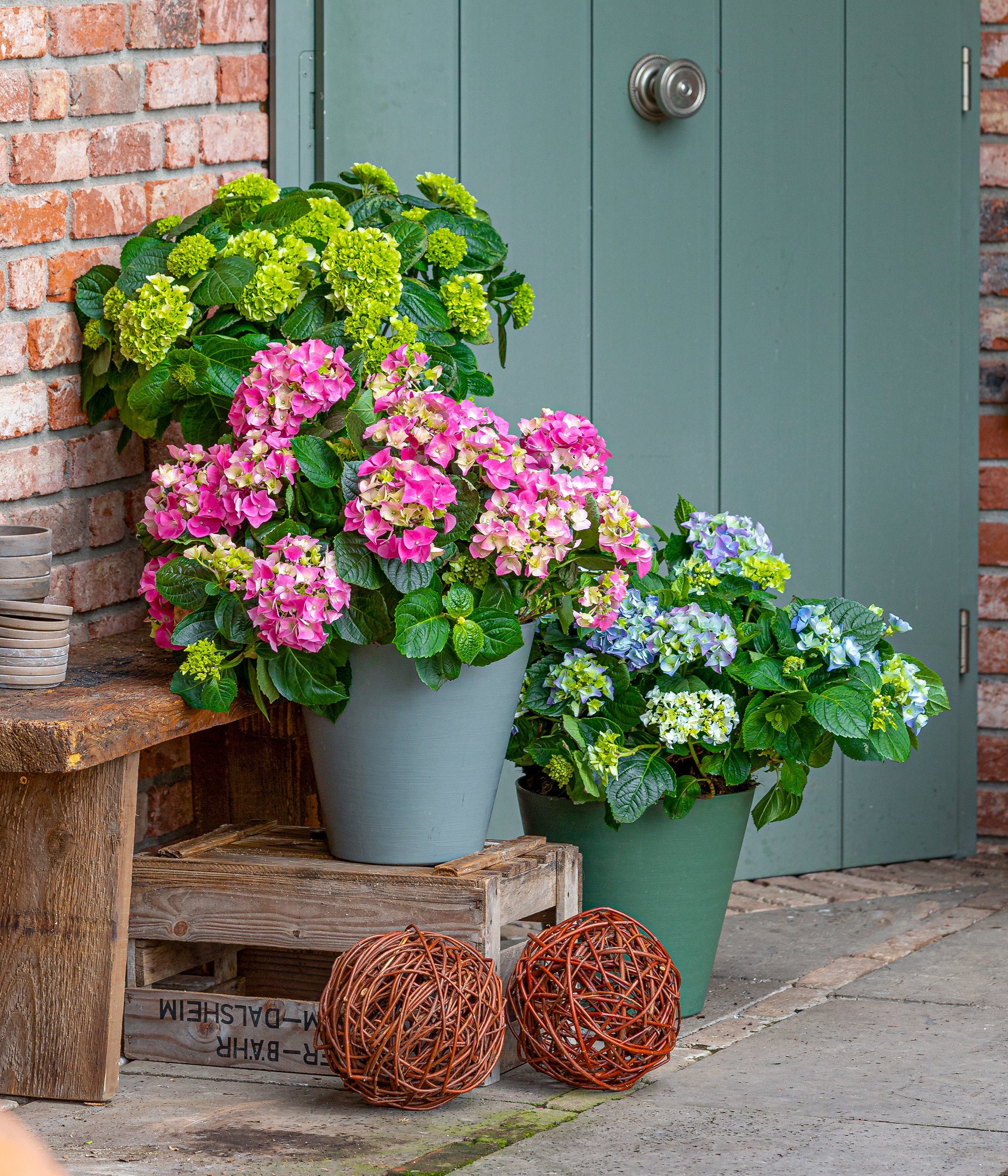 Dehner Weidenkorb Weidenkugel aus ungeschälter Weide, günstig online kaufen