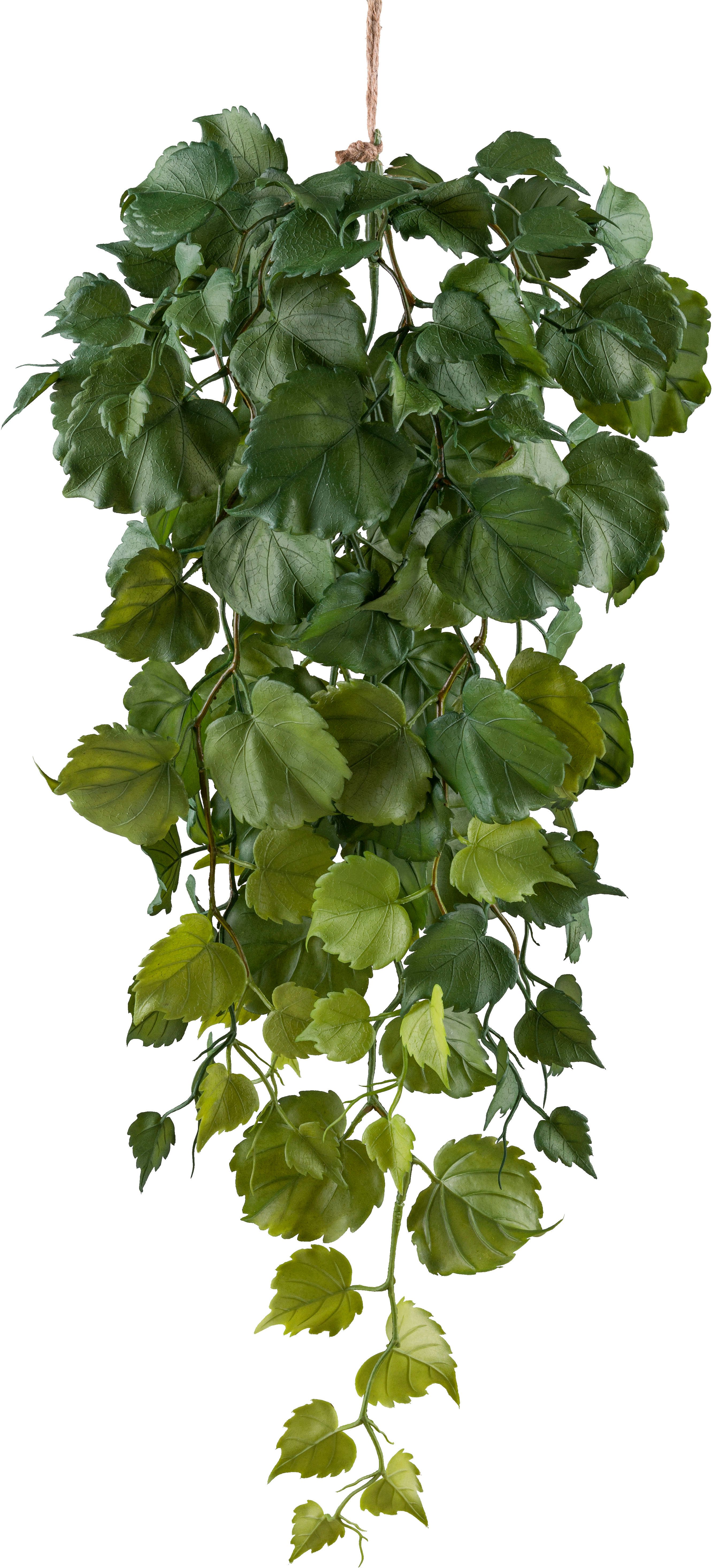 Kunstranke Blatthängepflanze Tilia, Creativ green, Höhe günstig online kaufen