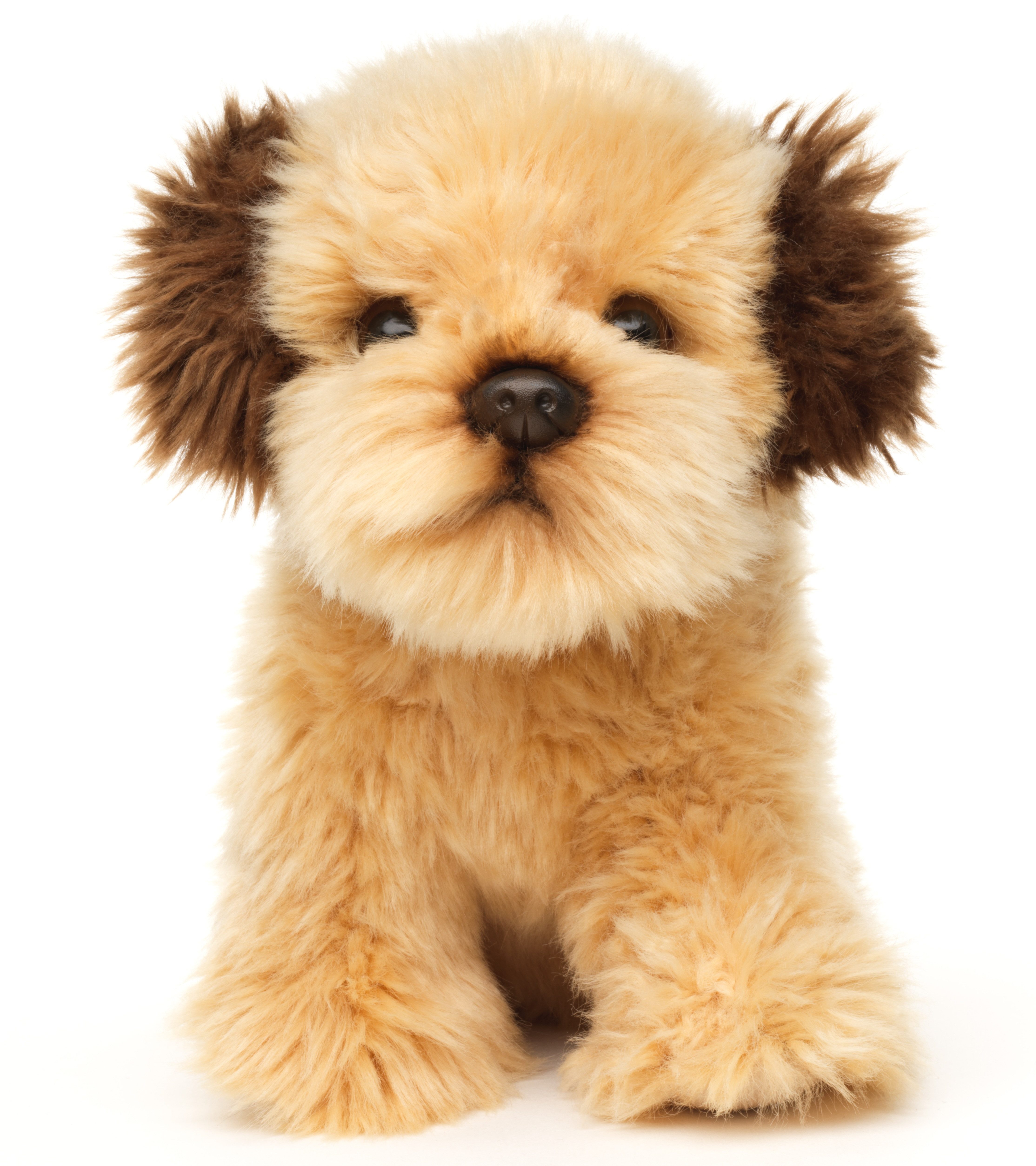 Uni-Toys Kuscheltier Shih Tzu Doodle od. Cockapoo - 18 cm (Höhe) - Plüsch-H günstig online kaufen