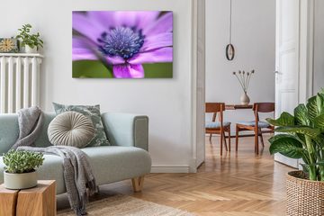 Sinus Art Leinwandbild 120x80cm Wandbild auf Leinwand Blume Blüte Violett Nahaufnahme Kunstvo, (1 St)