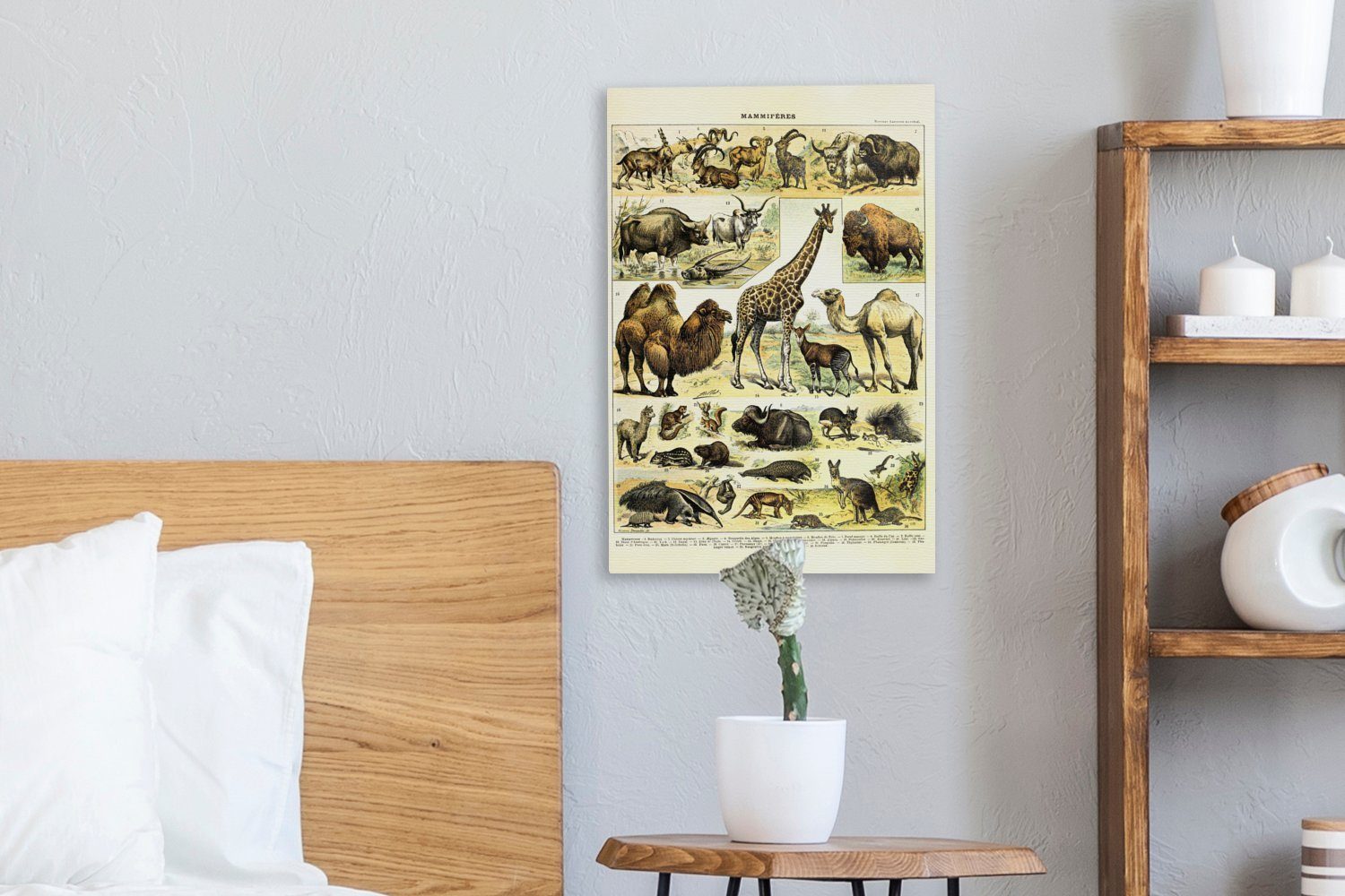 (1 Zackenaufhänger, 20x30 cm inkl. bespannt St), fertig OneMillionCanvasses® - Tiere - Gemälde, Leinwandbild Kamel, Giraffe Leinwandbild