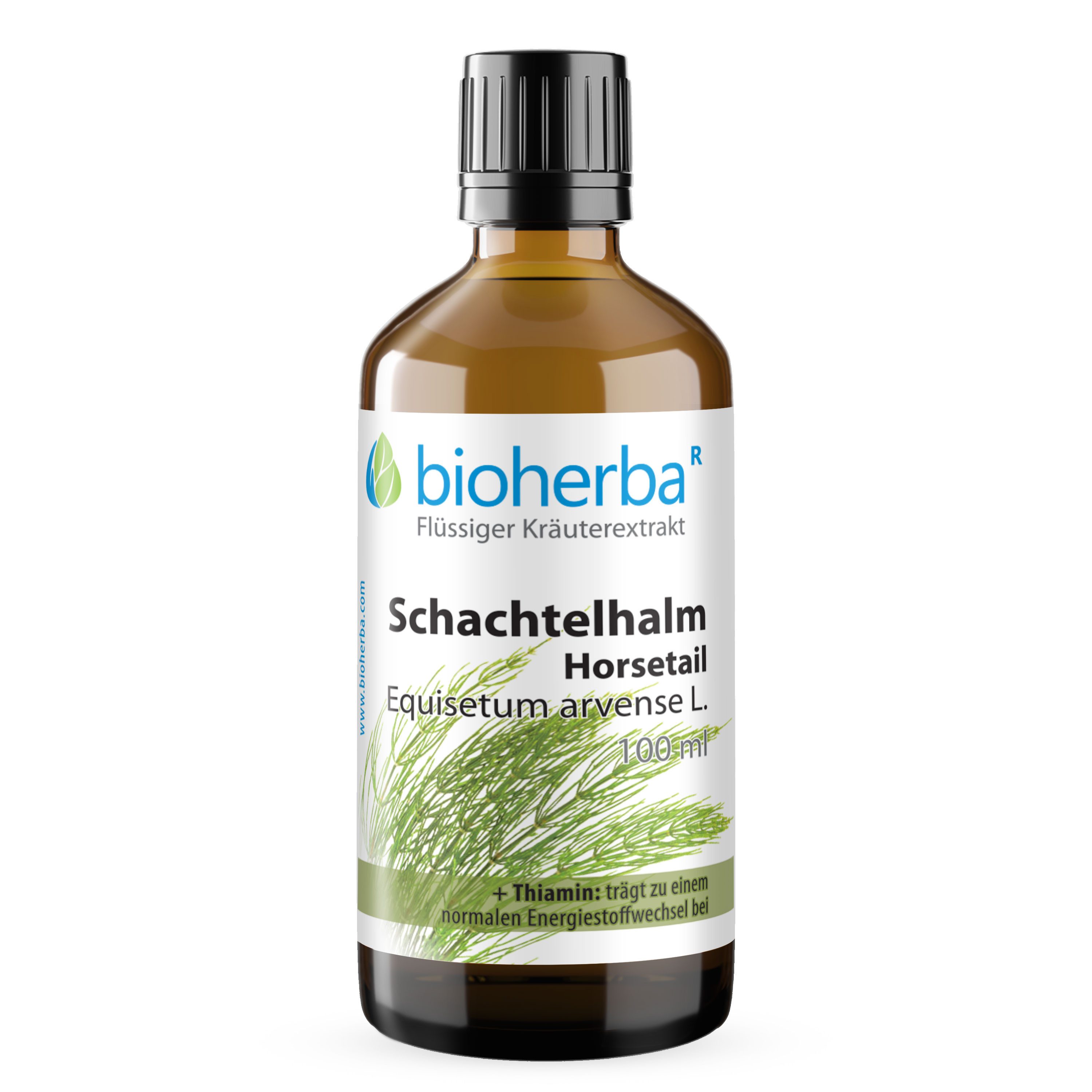 BIOHERBA R Bioherba Schachtelhalm Horsetail Tropfen Tinktur 100 ml Glasflasche, 1 er