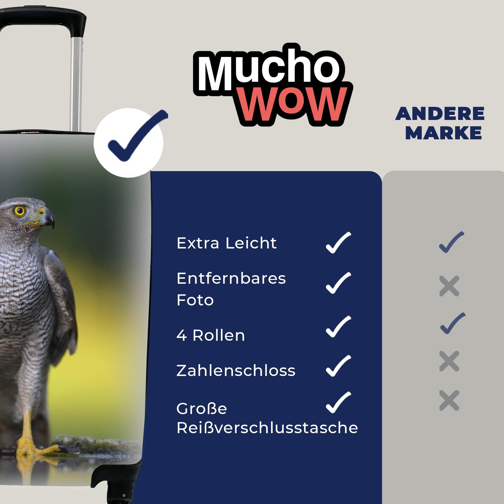 MuchoWow Handgepäckkoffer Vogeltränke - Reisekoffer mit Reisetasche Falke - Handgepäck Wasser, 4 Trolley, Rollen, rollen, für Ferien