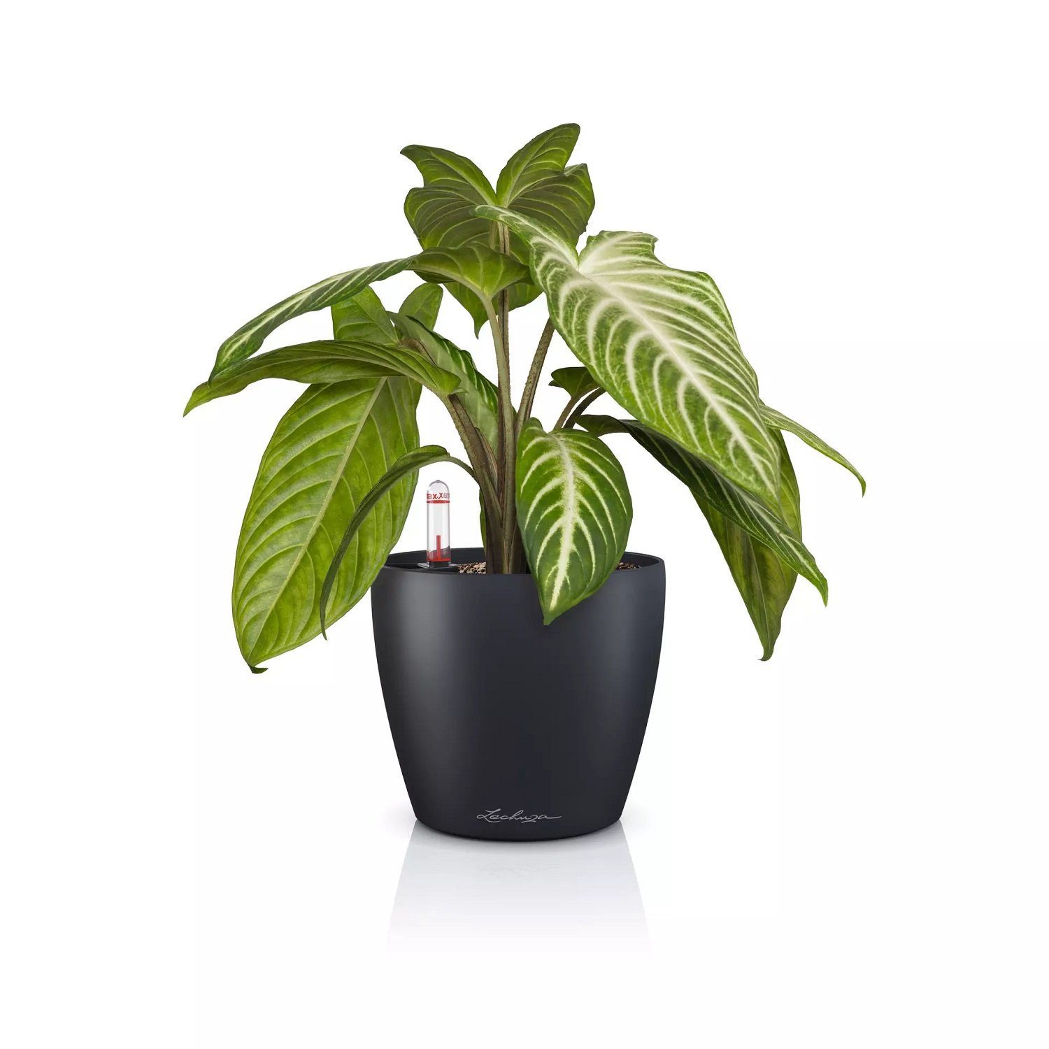 Lechuza® Blumentopf Lechuza Classico Color 14 schiefergrau 16695 (Komplettset)