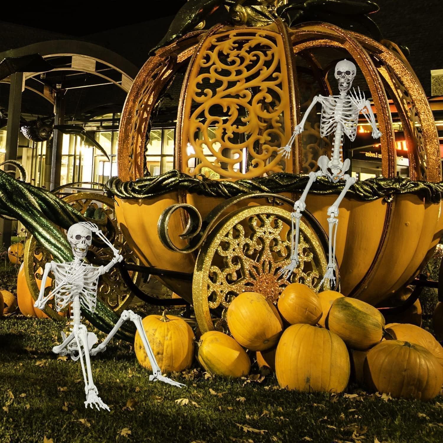 LuxusKollektion Skulptur 165CM realistisches Skelett Ganzkörper mit beweglichen Gelenken