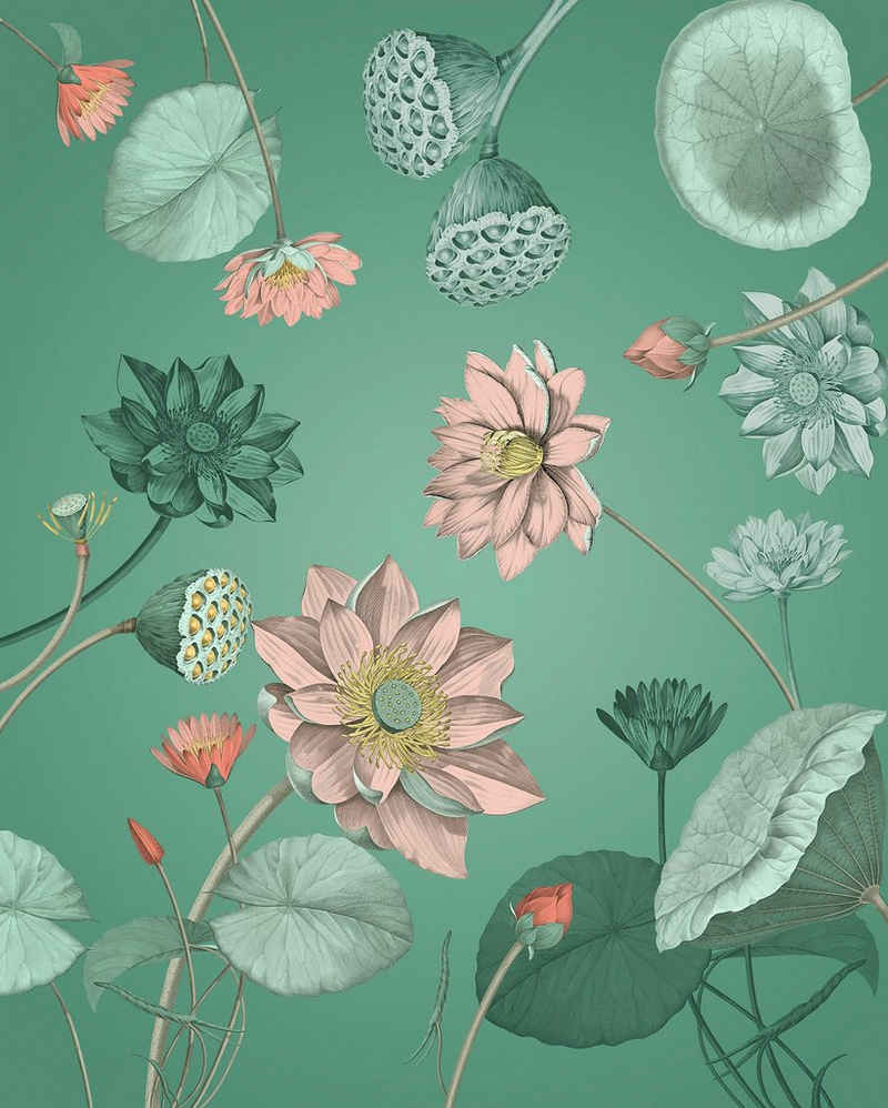Komar Fototapete »Blissful«, glatt, bedruckt, botanisch, floral