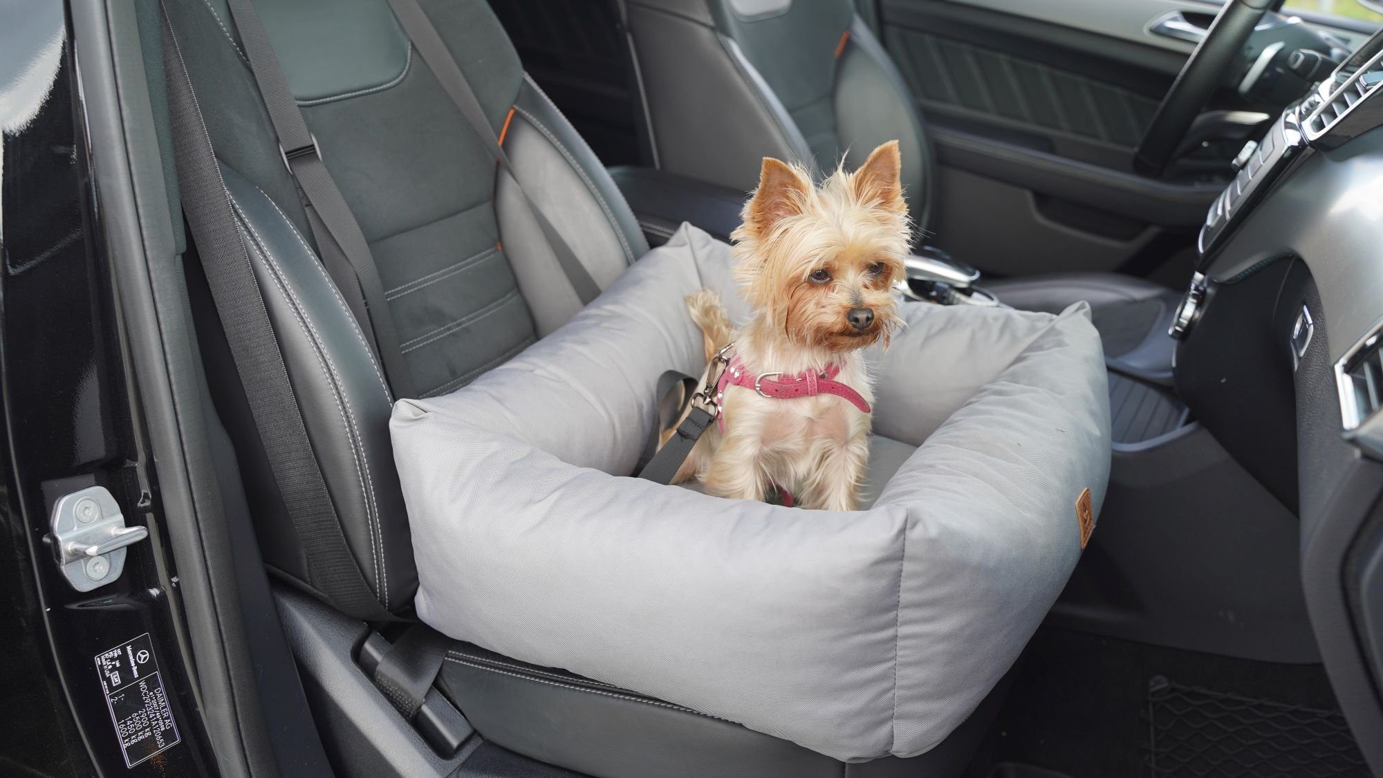 Animood Hunde-Autositz Hundeautositz Julian grau S Hundesitz Tierautositz 58x53x20 cm, Kodura, wasserfestes Material