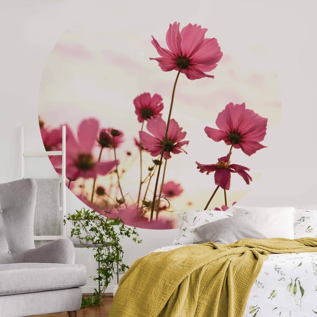 K&L Wall Art Fototapete Fototapete Blumen Pinke Kosmeen Vliestapete Rund Wohnzimmer Tapete, Schmuckkörbchen Tapete