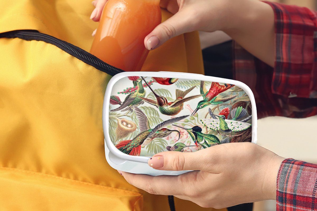 Kunst Mädchen - Brotdose, - (2-tlg), - Haeckel Vintage Kinder und Erwachsene, Natur, Jungs Ernst MuchoWow weiß für Lunchbox Kunststoff, - Kolibri Vogel für und - Brotbox