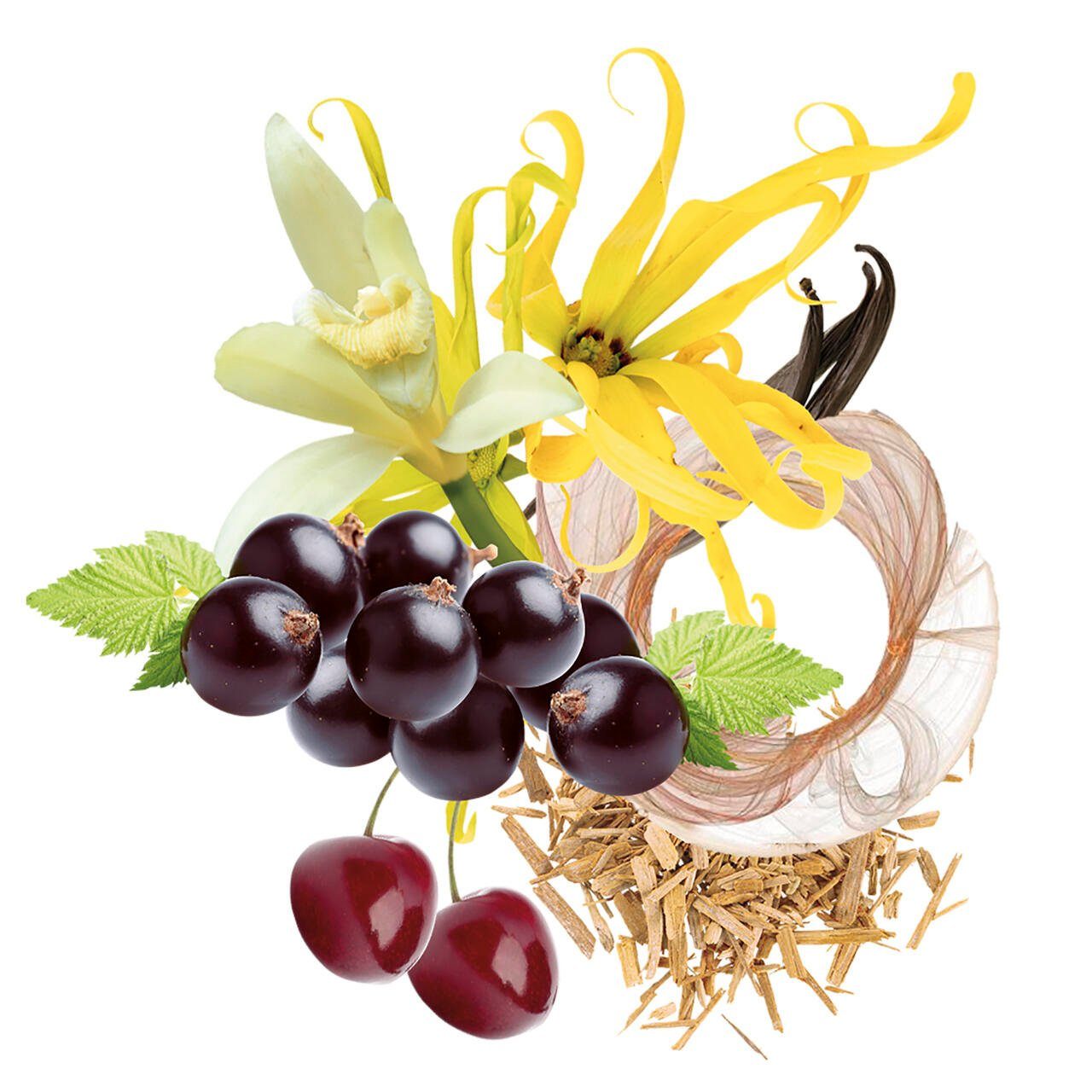 Trussardi Eau de Parfum Ruby Red EdP Nat. Spray, Damenduft