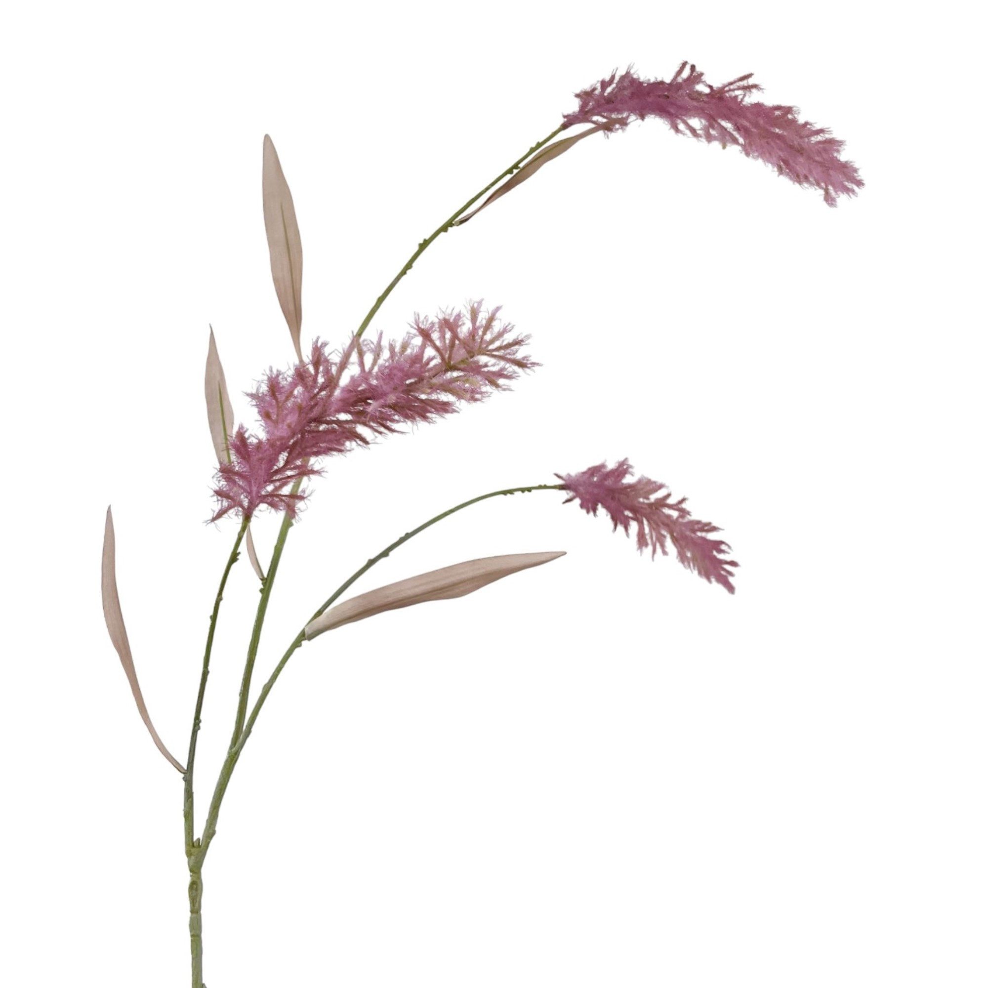Kunstzweig Künstliches Pampasgras ca. 120cm Rosa BURGUND. Trockenblumen-Optik, Floratexx GmbH, Höhe 120.00 cm