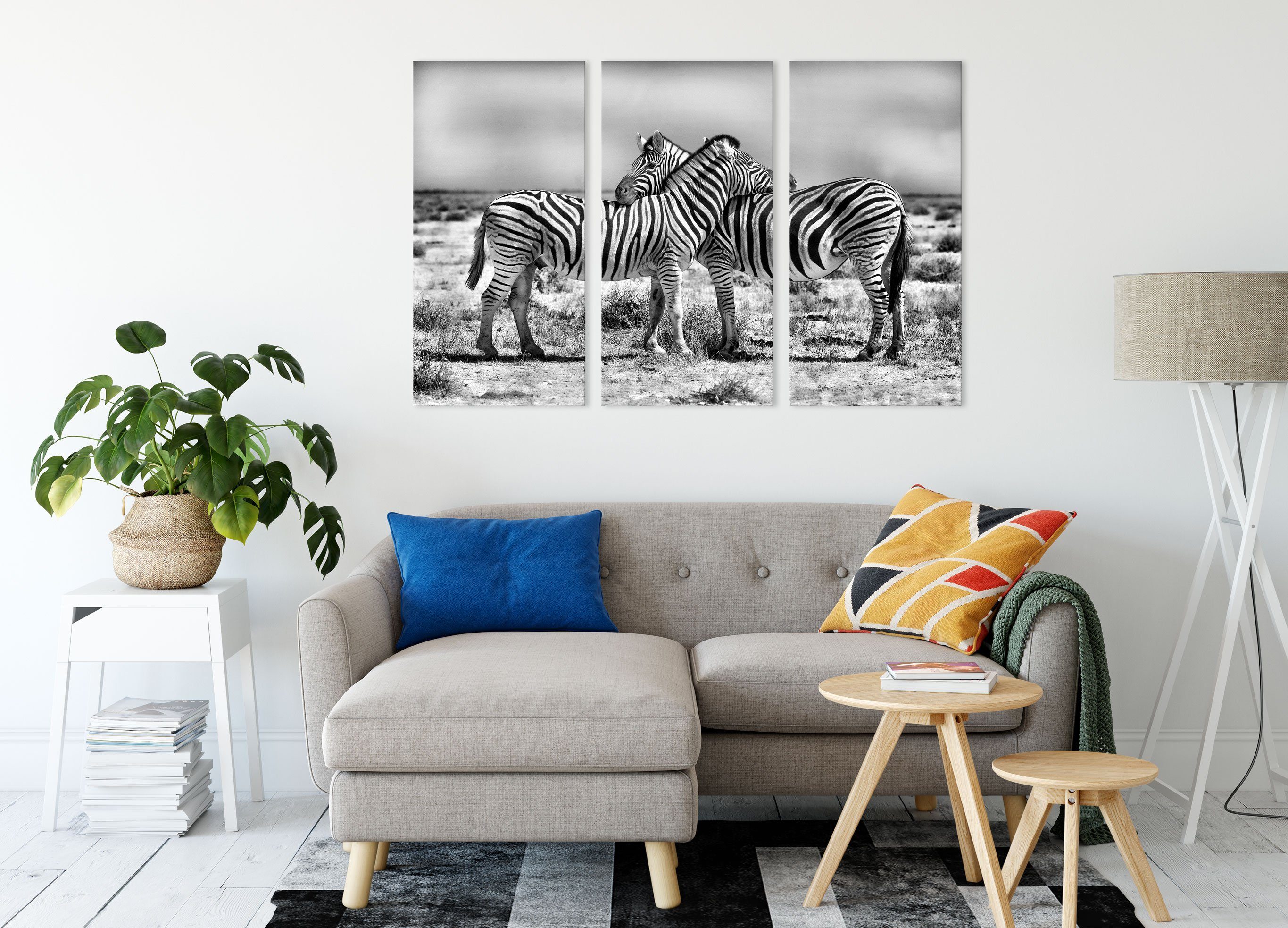 Leinwandbild Leinwandbild bespannt, Schmusende St), (120x80cm) inkl. Zebras Schmusende (1 3Teiler Pixxprint Zebras, Zackenaufhänger fertig