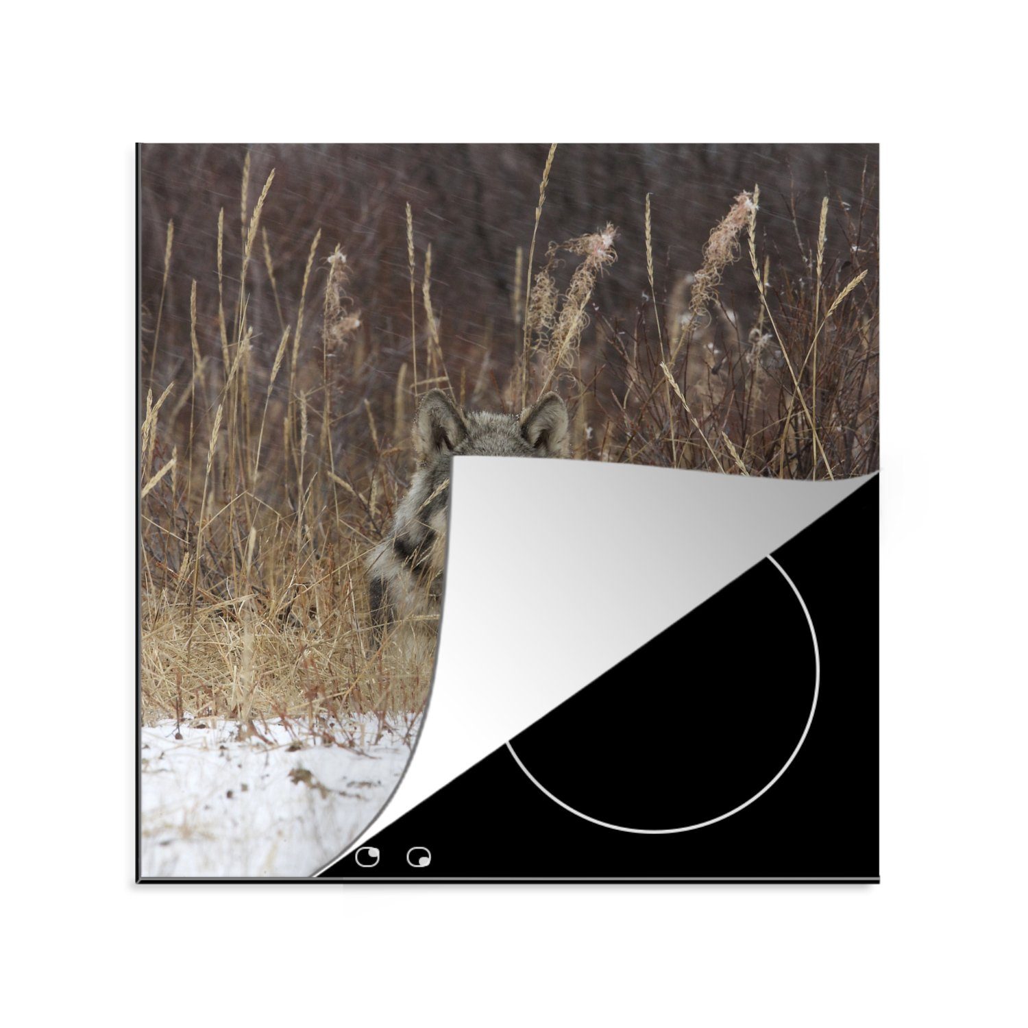 MuchoWow Herdblende-/Abdeckplatte Wolf auf einer Tundra, Vinyl, (1 tlg), 78x78 cm, Ceranfeldabdeckung, Arbeitsplatte für küche
