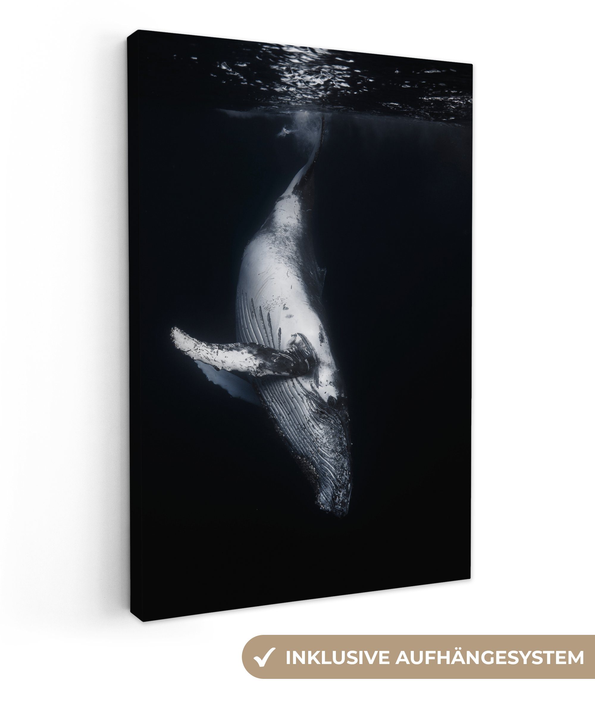 OneMillionCanvasses® Leinwandbild Wale - Meerestiere - Meer - Natur, Fotodr günstig online kaufen