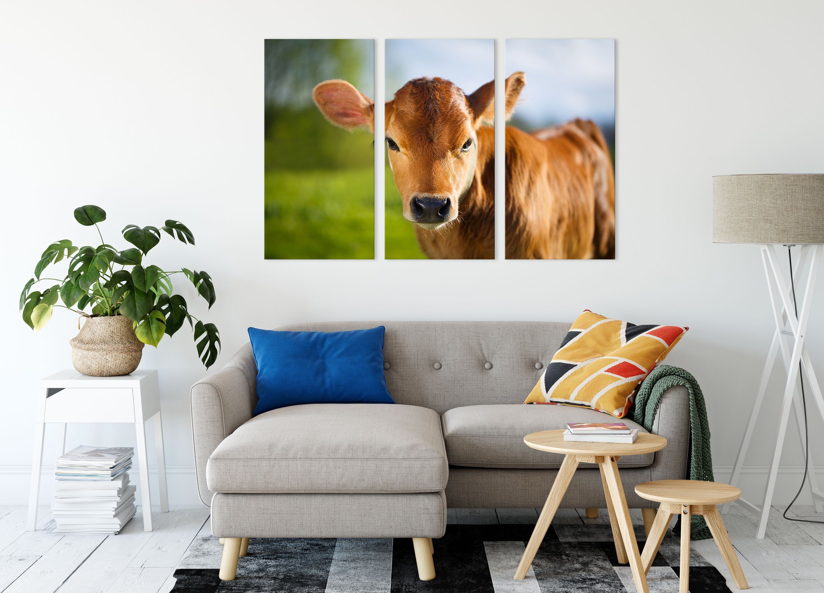 Pixxprint Leinwandbild Kuh (1 3Teiler Junge fertig Kuh bespannt, Kälbchen, Zackenaufhänger Kälbchen St), (120x80cm) Leinwandbild Junge inkl.