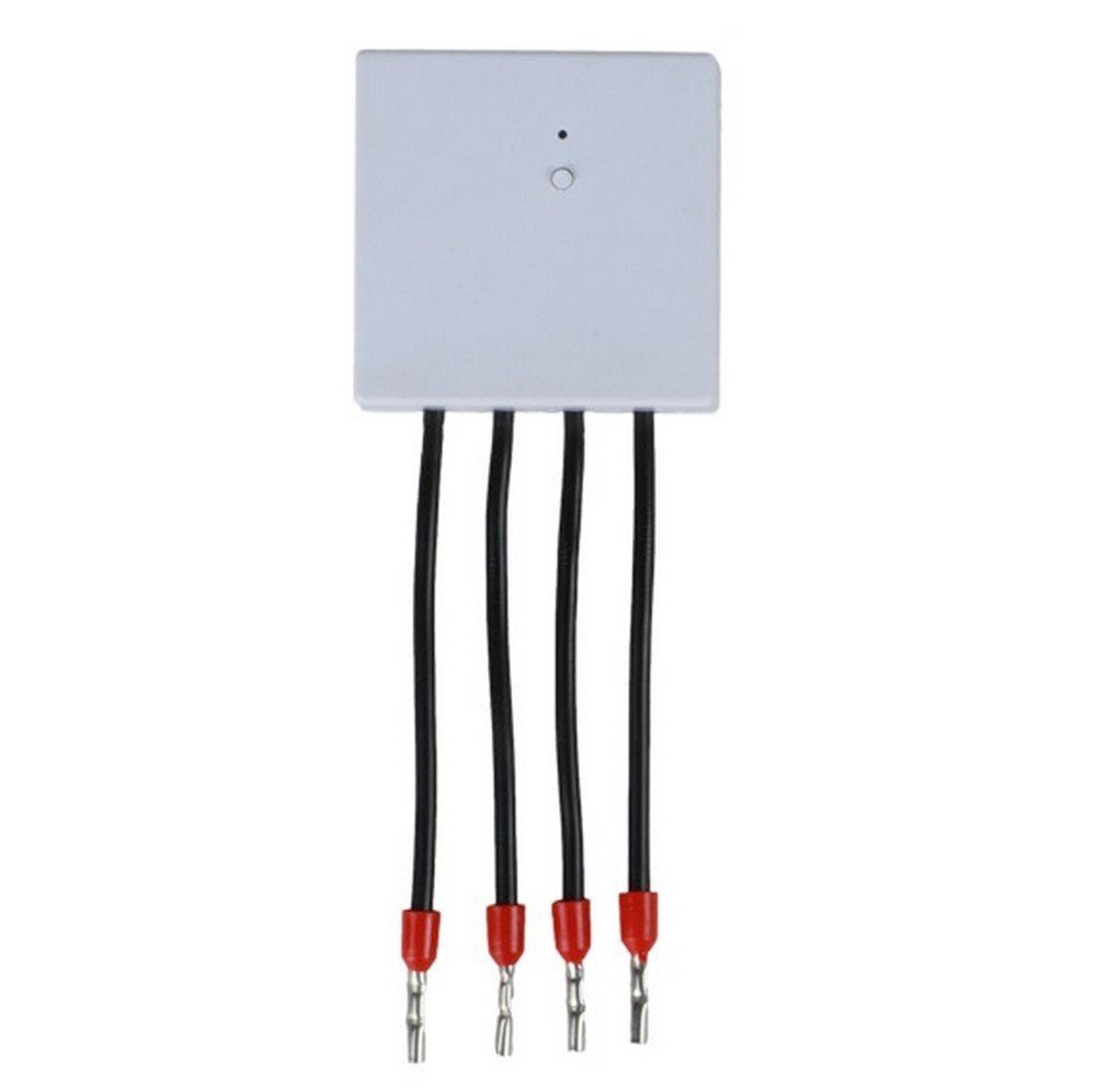 DIW-Funk Licht-Funksteuerung DPM-3500 Funk Powerschalter Modul 3500 W auch hint, für Licht, Steckdosen, Garagen, Funk-Verschlüsselung, Packung, 1-tlg., Steuerung per Funk, Auswahl an vielen Sendern und Empfängern