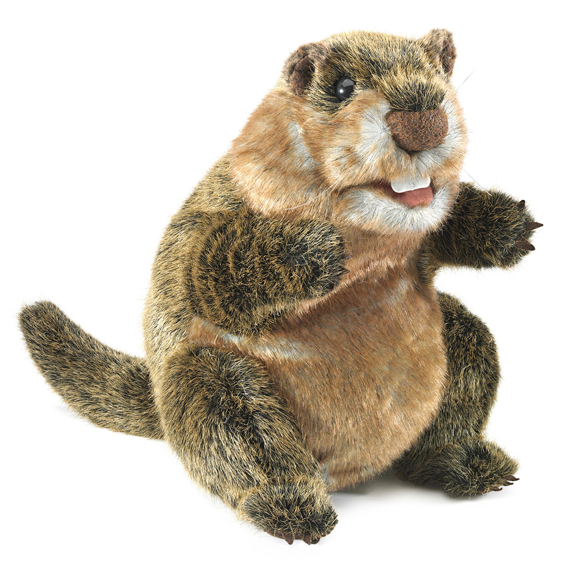 Folkmanis Handpuppen Handpuppe Folkmanis Handpuppe Murmeltier 3169 (Packung)