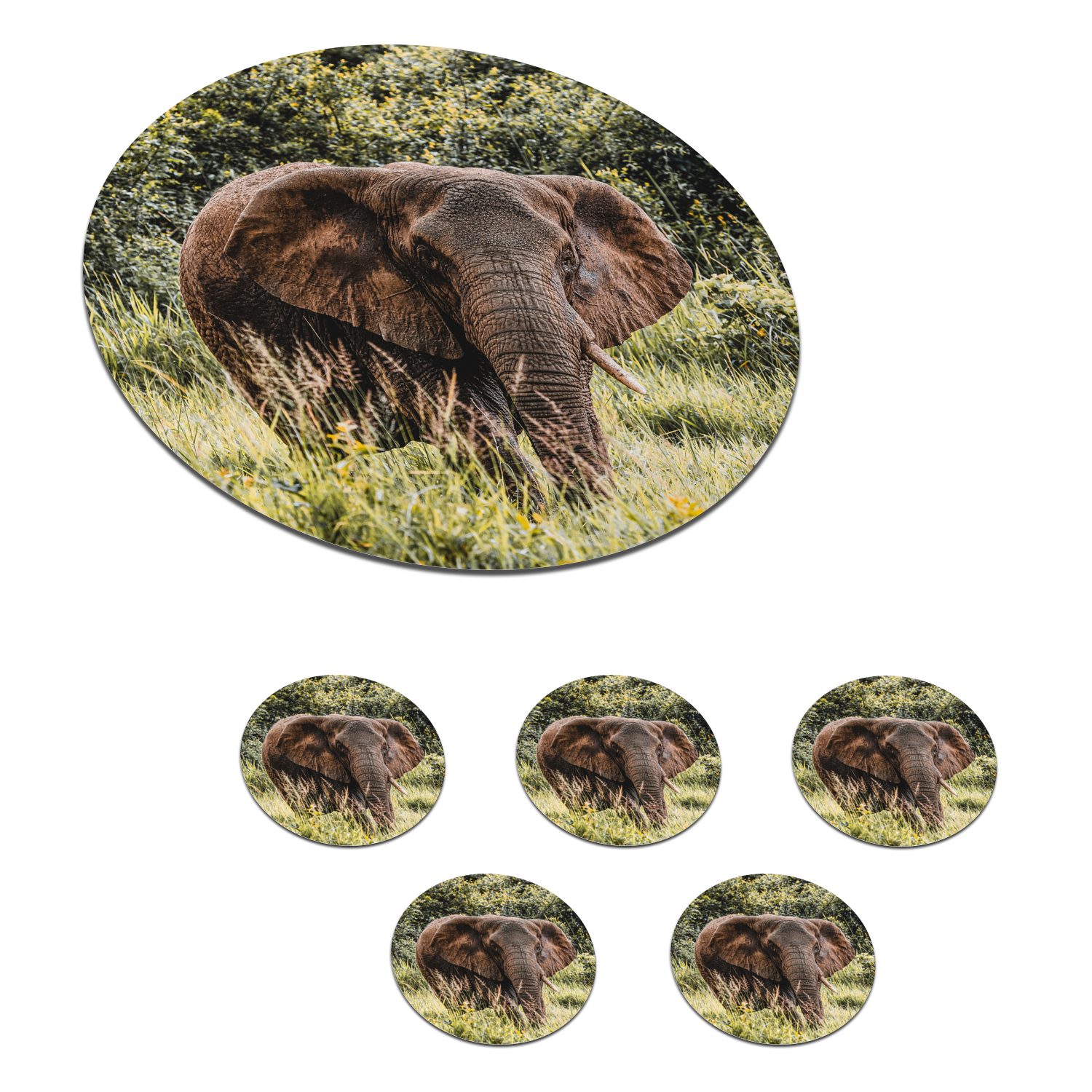 MuchoWow Tasse, Gras - Getränkeuntersetzer, Korkuntersetzer, 6-tlg., für Becher - Natur, Elefant Tassenuntersetzer, Glasuntersetzer Gläser, Zubehör