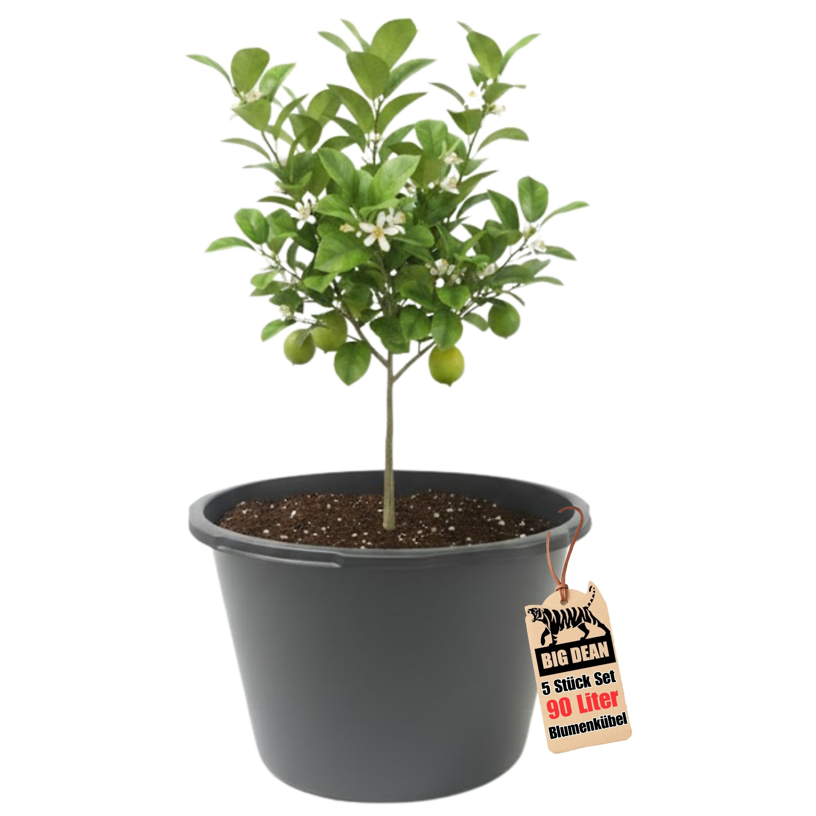BigDean Mörtelkübel Blumenkübel XXL 90 Liter 43cm hoch 63cm Durchmesser Made in Europe, (Stück, 1-tlg., Pflanzkübel), Frostsicher, formstabil und wasserdicht
